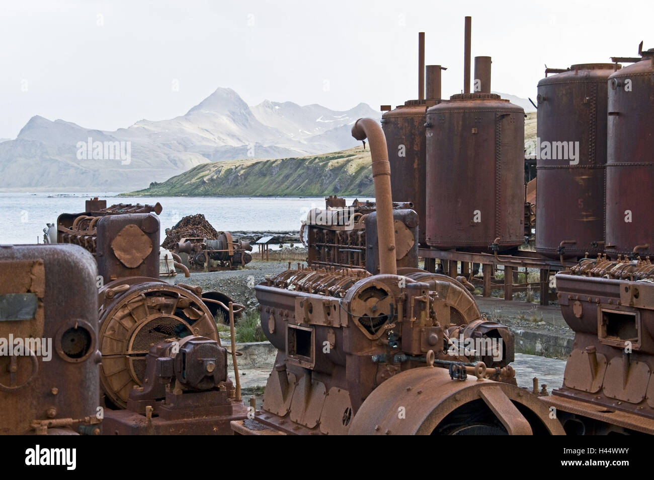 Südgeorgien, Grytviken, costa, balena vecchia stazione di lavorazione, Foto Stock