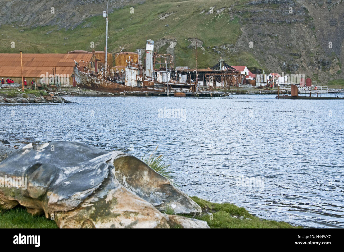 Südgeorgien, Grytviken, costa, osso di balena, balena vecchia stazione di lavorazione, Foto Stock