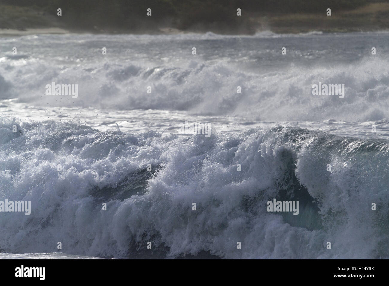 Il mare, le onde, surf, Foto Stock