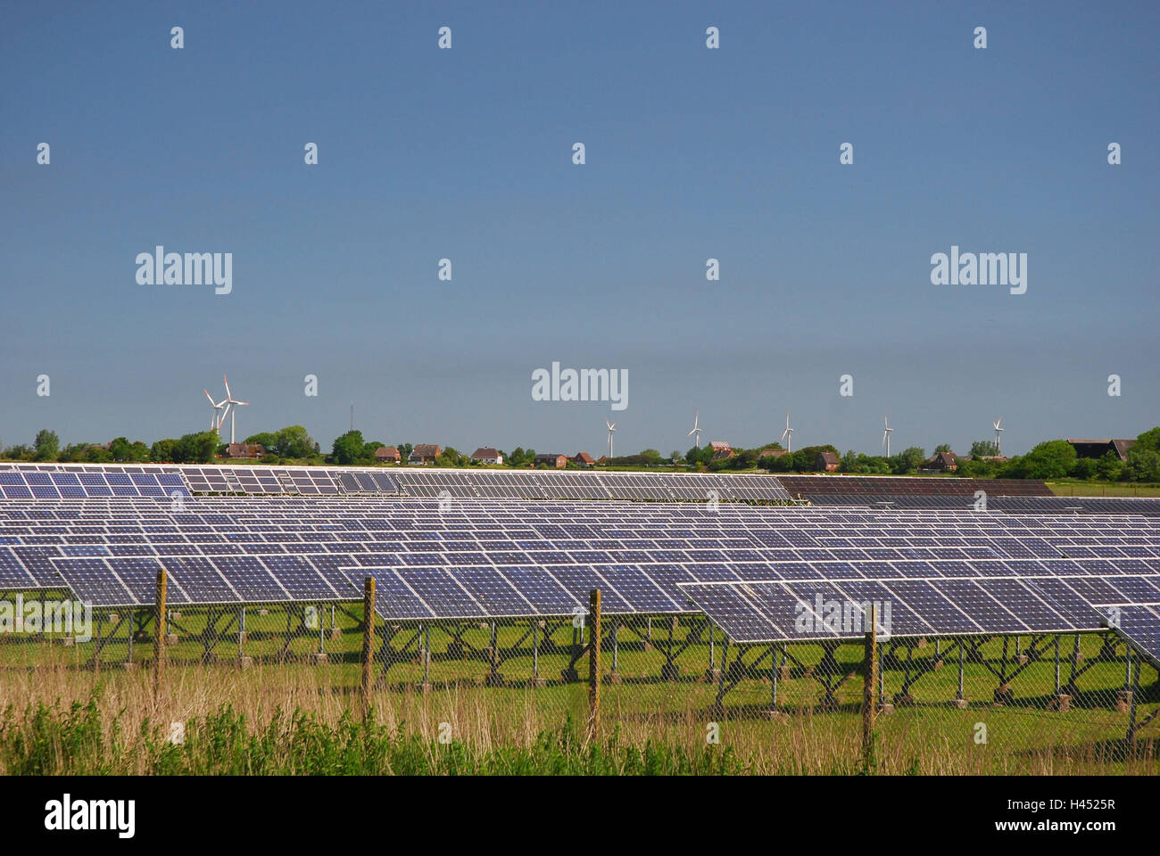 Germania, SCHLESWIG-HOLSTEIN, fregio del nord paese, isola di Pellworm, solare allegato, Foto Stock