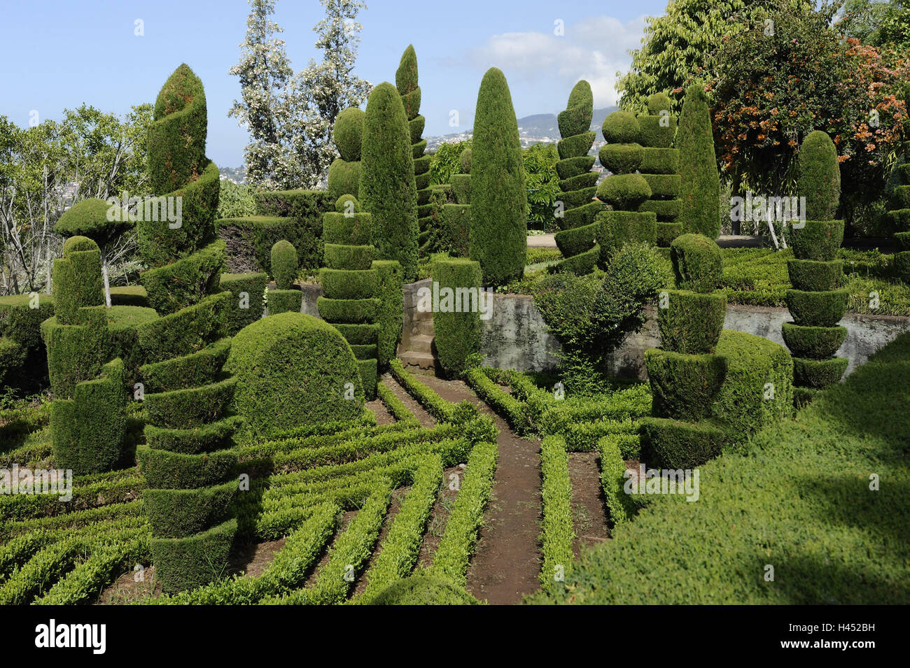 Il Portogallo, isola di Madera, Funchal, giardino botanico, arbusti ornamentali, Foto Stock