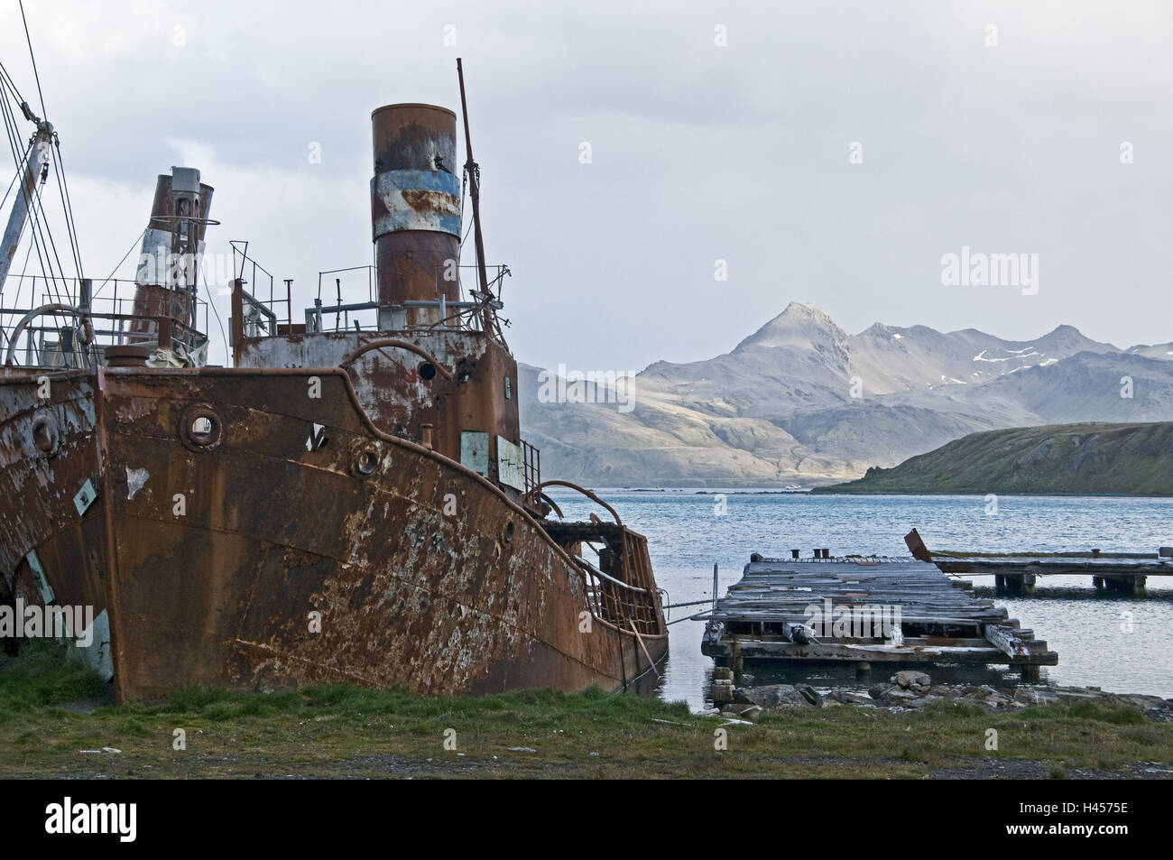 Südgeorgien, Grytviken, costa, balena vecchia stazione di lavorazione, relitto della nave, Foto Stock