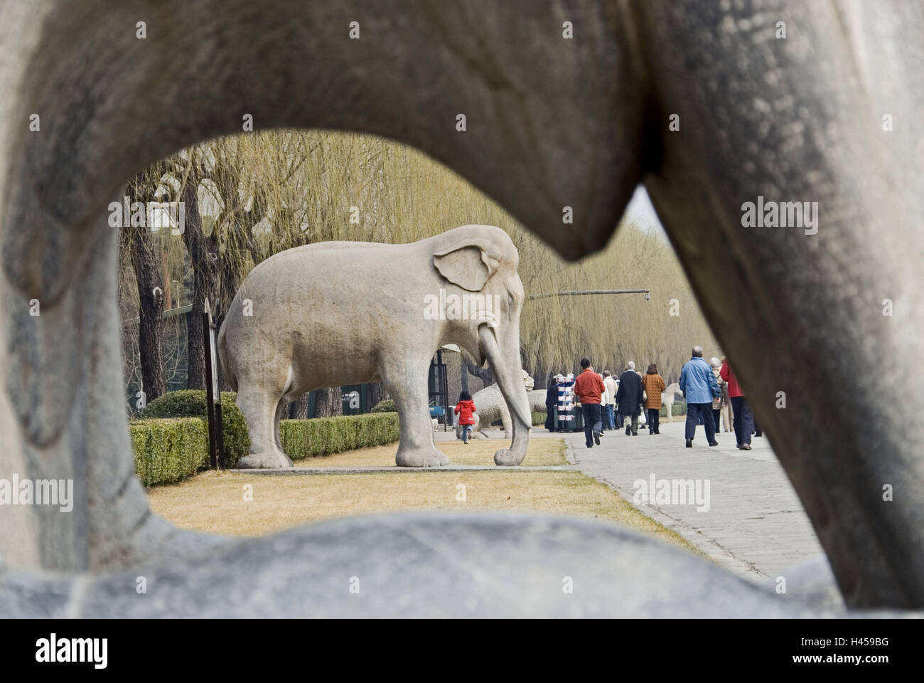 La Cina, le Tombe Ming, Ming-Shisan-ling, anima modo, sculture di animali, elefante, visitatore, Asia, cultura, arte, necropoli, Shisanling, avenue, modo, città funebre, tomba di allegati, tombe imperiali, mente avenue, dinastia Ming, figure in pietra, di sculture in pietra, sculture, animali, scultura, storicamente, parco, luogo di interesse, l'UNESCO-patrimonio culturale mondiale, persona, turismo, esterno, Foto Stock