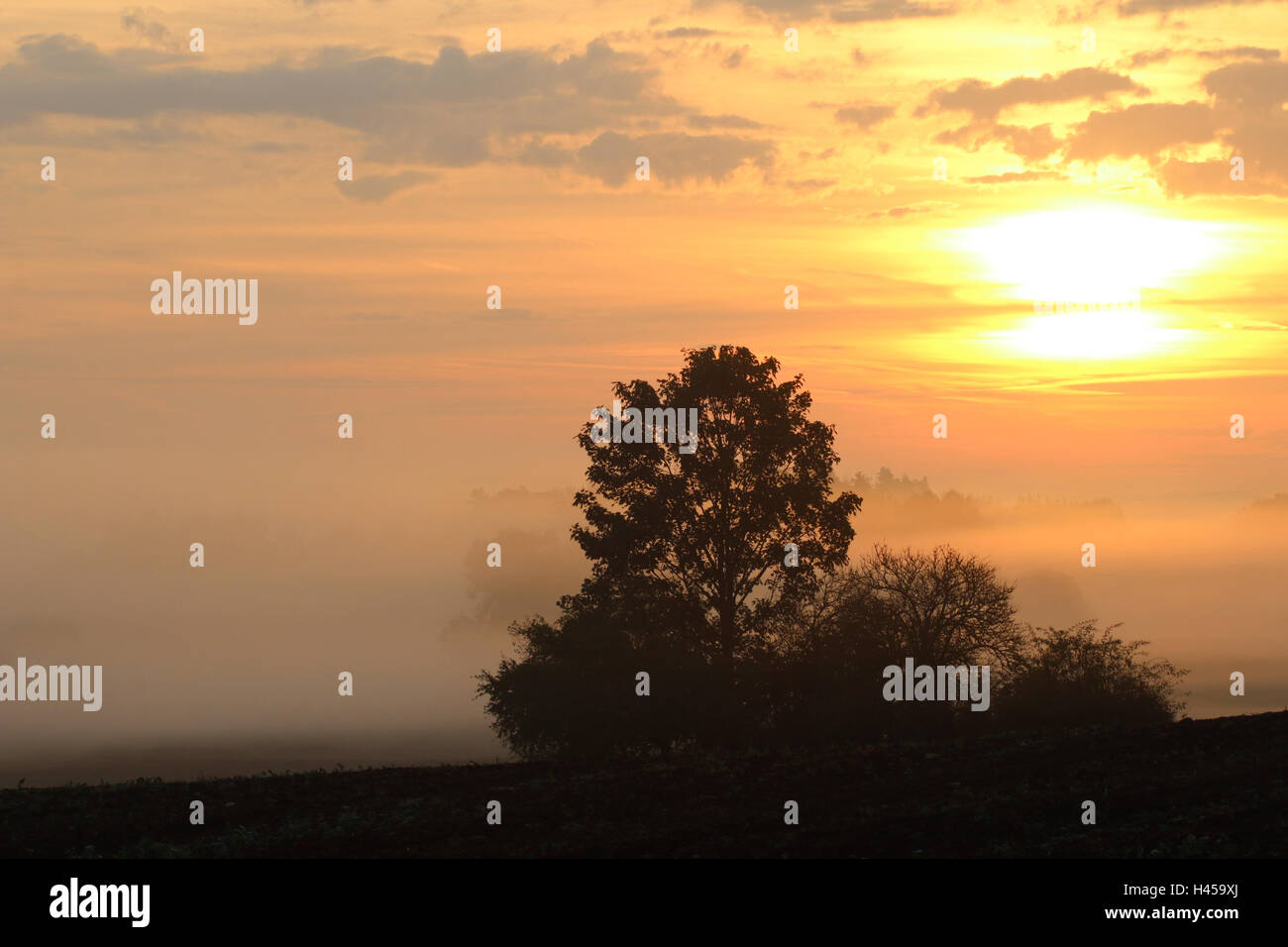 La mattina presto sun oltre il paesaggio rurale Foto Stock