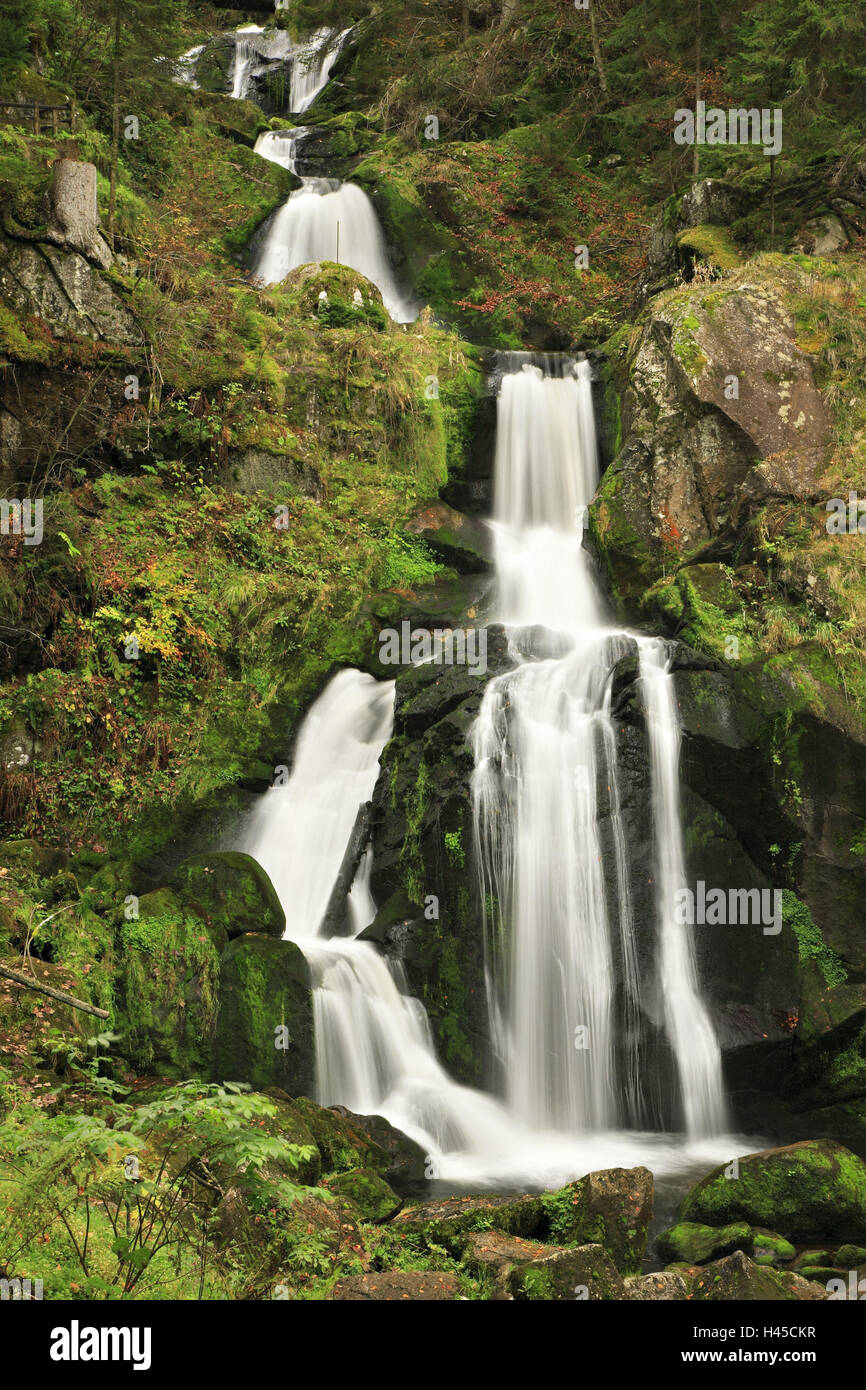 Germania, Foresta Nera, cascate di Triberg, Foto Stock