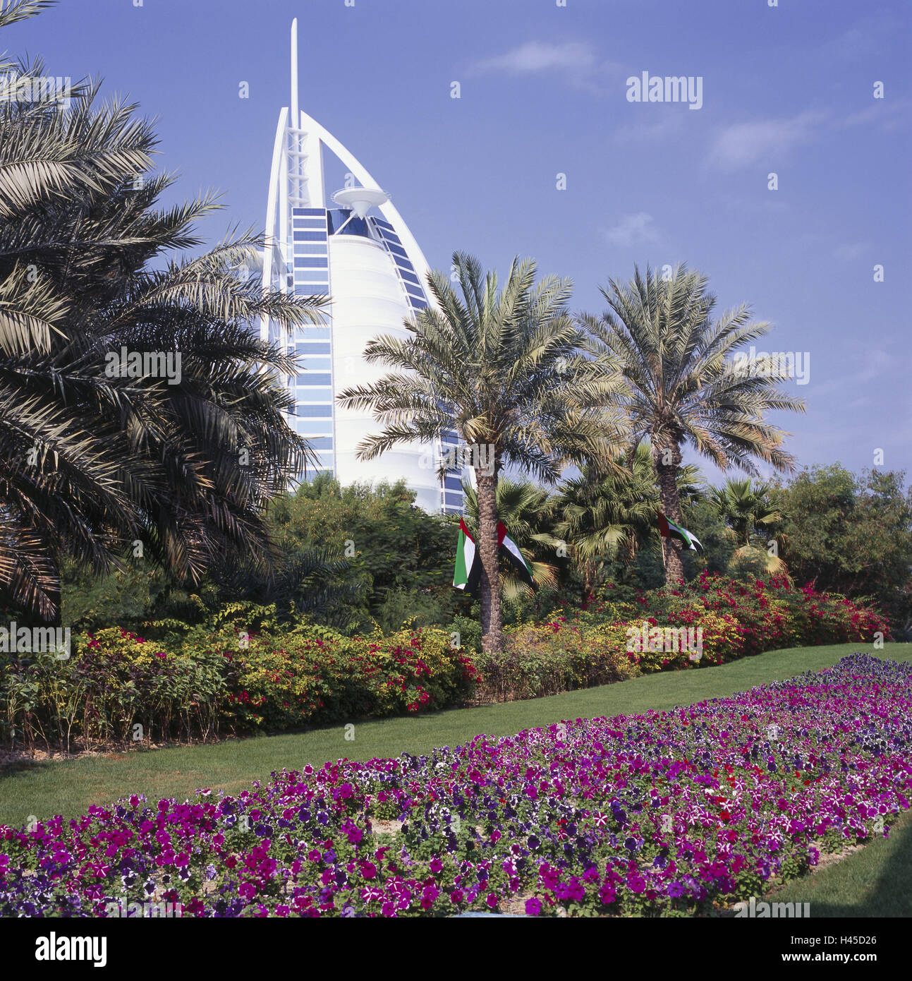 Emirati Arabi Uniti Dubai Jumeirah, il Burj Al Arab, giardino, fiori, palme, VAE, città capitale, edilizia, architettura, architettura, la struttura, il cielo al di fuori, deserte, destinazione hotel edificio, Jumeirah, facciata, prepotentemente, punti di riferimento, luogo di interesse, di lusso di un albergo a cinque stelle, Foto Stock