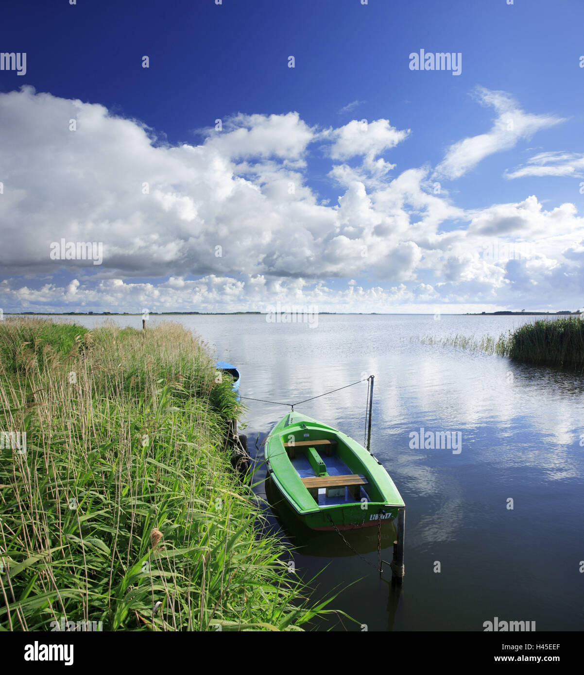 Großer Jasmunder Bodden, barca, isola di Rügen, Mar Baltico, Meclemburgo-Pomerania Occidentale, Germania, Foto Stock