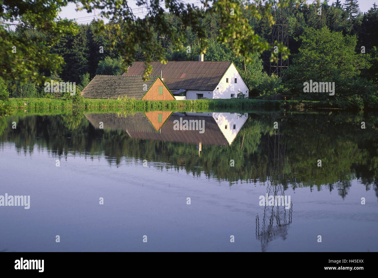 Repubblica ceca, South Bohemian, paesaggi, natura, poli di potenza, lago, agriturismo, casa, legno, il bordo della foresta, gli alberi, culatte, delimitazione, deserte, al di fuori del cielo privo di nuvole, blu, mirroring Foto Stock