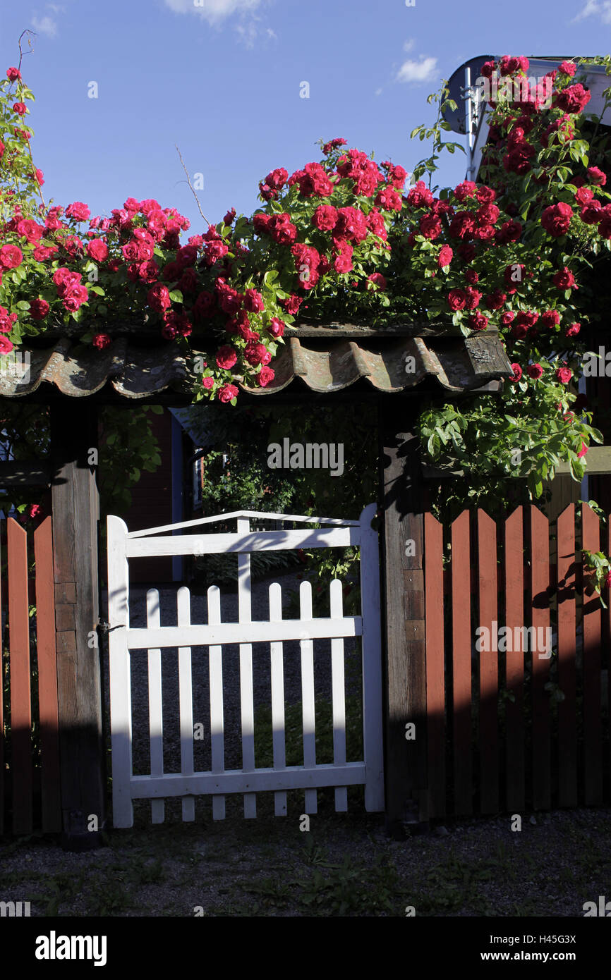 La Svezia, Trosa, garden gate, recinzione, rose, Foto Stock