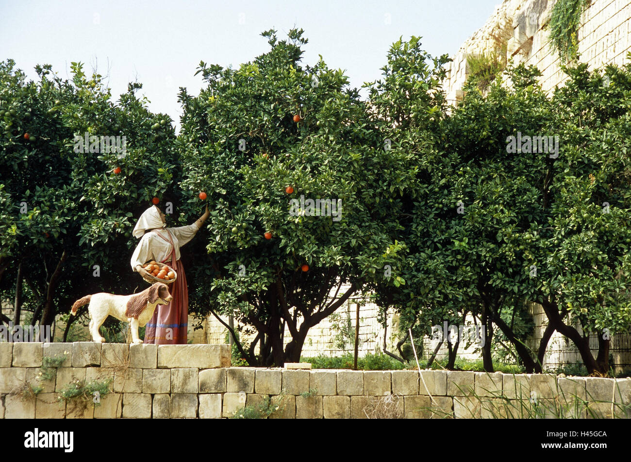 Isola di Malta, Siggiewi, figure, donna, cane, alberi di arancio, il raccolto, il limes patrimonio di tono, museo, storicamente, lo stile di vita, utilizza, rurale, rurally, agricoltura, open-air museum, la rappresentanza femminile, i figura, arance, arancione raccolto, Foto Stock