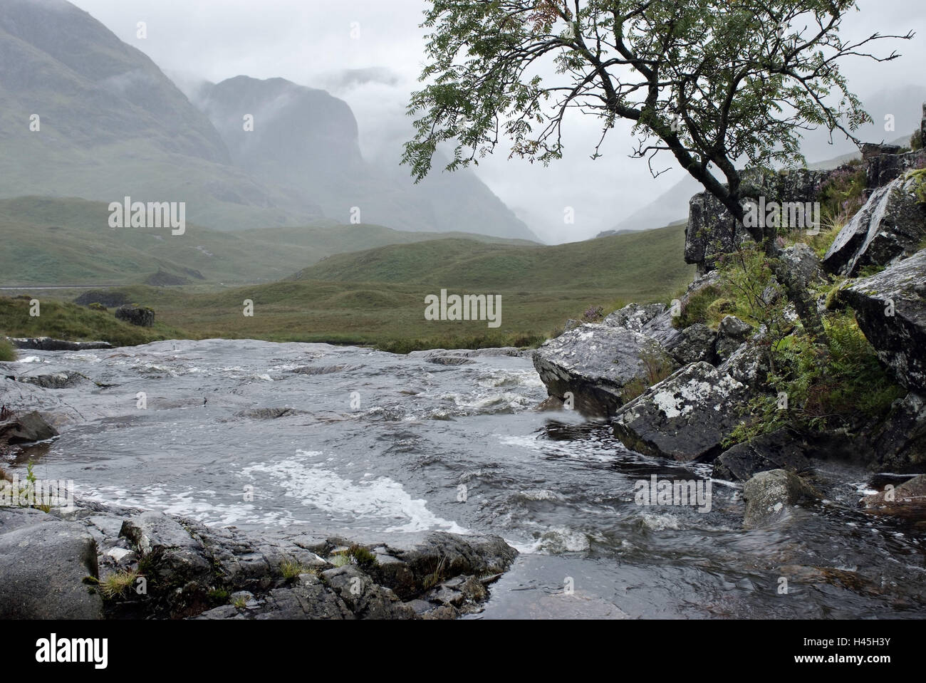 Gran Bretagna, Scozia, altopiani, Grampian Mountains, Glen Coe Valley, pioggia, Foto Stock
