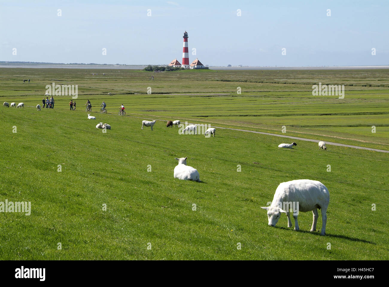 Germania, Schleswig-Holstein, Eiderstedt, Westerhever, escursionisti, pecore, Westerheversand faro, Foto Stock