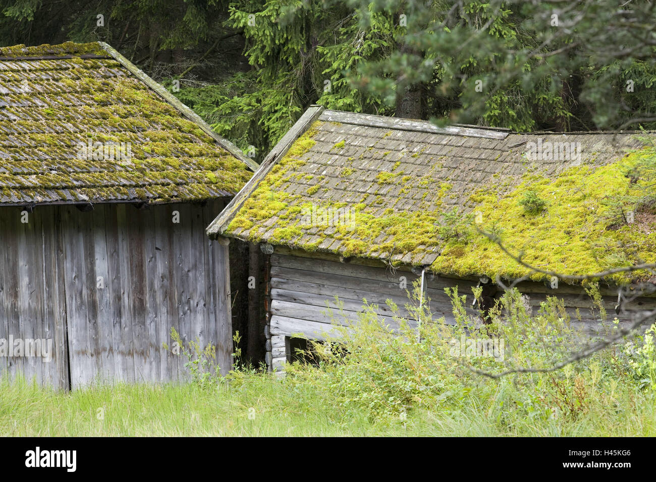 Austria, Tirolo, capanna in legno, scadono, bemoost, dettaglio Foto Stock