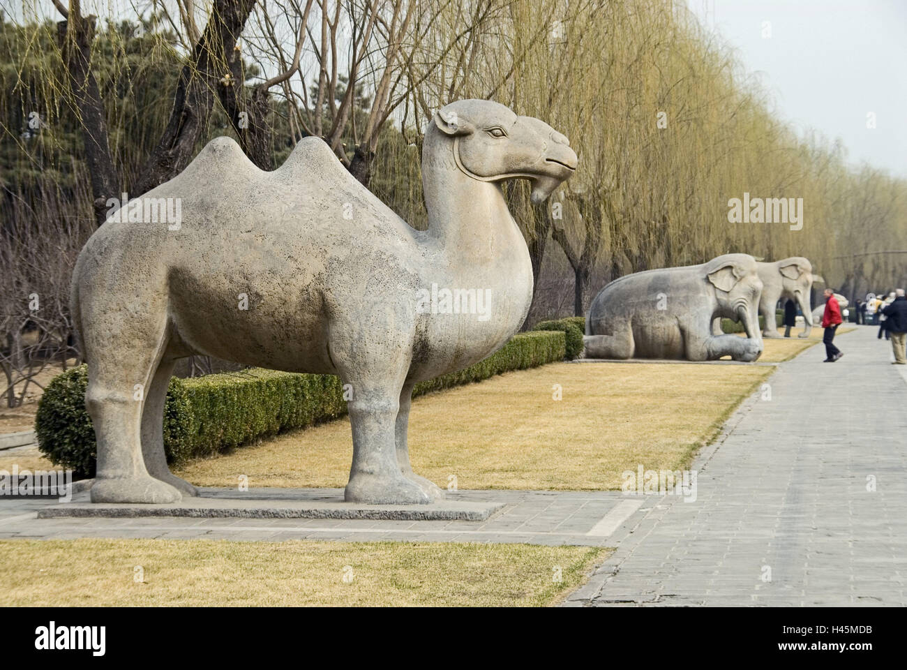 La Cina, le Tombe Ming, Ming-Shisan-ling, anima modo, scultura animale, cammello, Asia, cultura, arte, necropoli, Shisanling, avenue, modo, città funebre, tomba di allegati, tombe imperiali, verticale, mente avenue, dinastia Ming, pietra figura, scultura in pietra, camel scultura, sculture, animali, scultura, storicamente, parco, luogo di interesse, l'UNESCO-patrimonio culturale mondiale, persona, turismo, visitatore esterno, Foto Stock