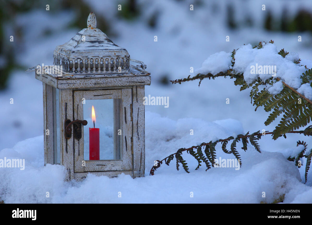 Lanterna, candela, masterizzare, neve, a lume di candela, fiamma, giardino,  lampada luce, inverno, Gemrany Foto stock - Alamy