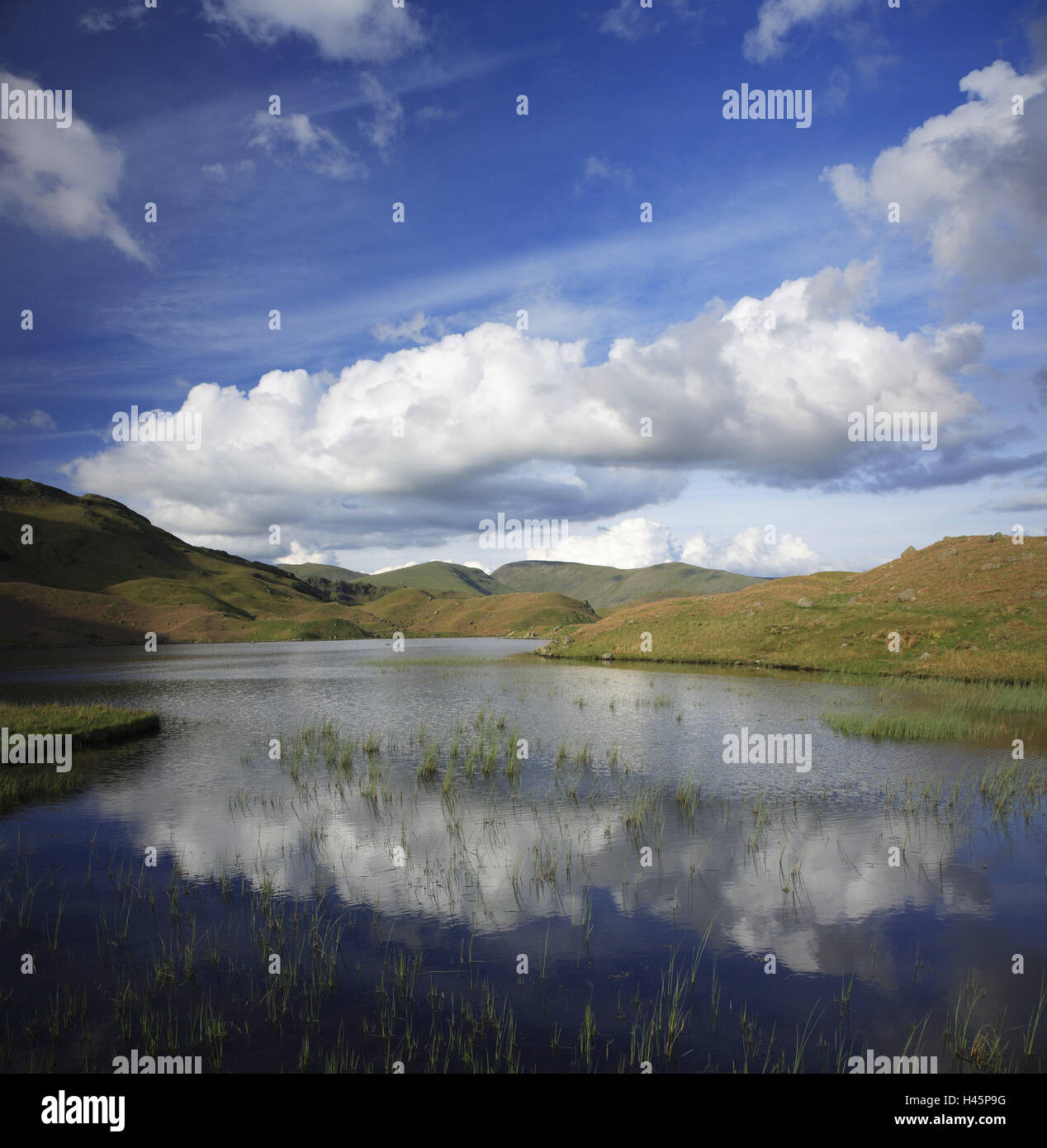 Regno Unito, Inghilterra, Cumbria, Lake District, Easdale Tarn, cielo molto nuvoloso, lago, Foto Stock