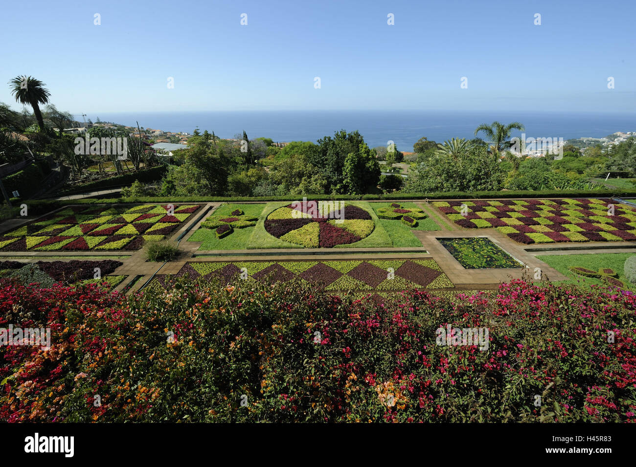 Il Portogallo, isola di Madera, Funchal, giardino botanico, arbusti ornamentali, Foto Stock