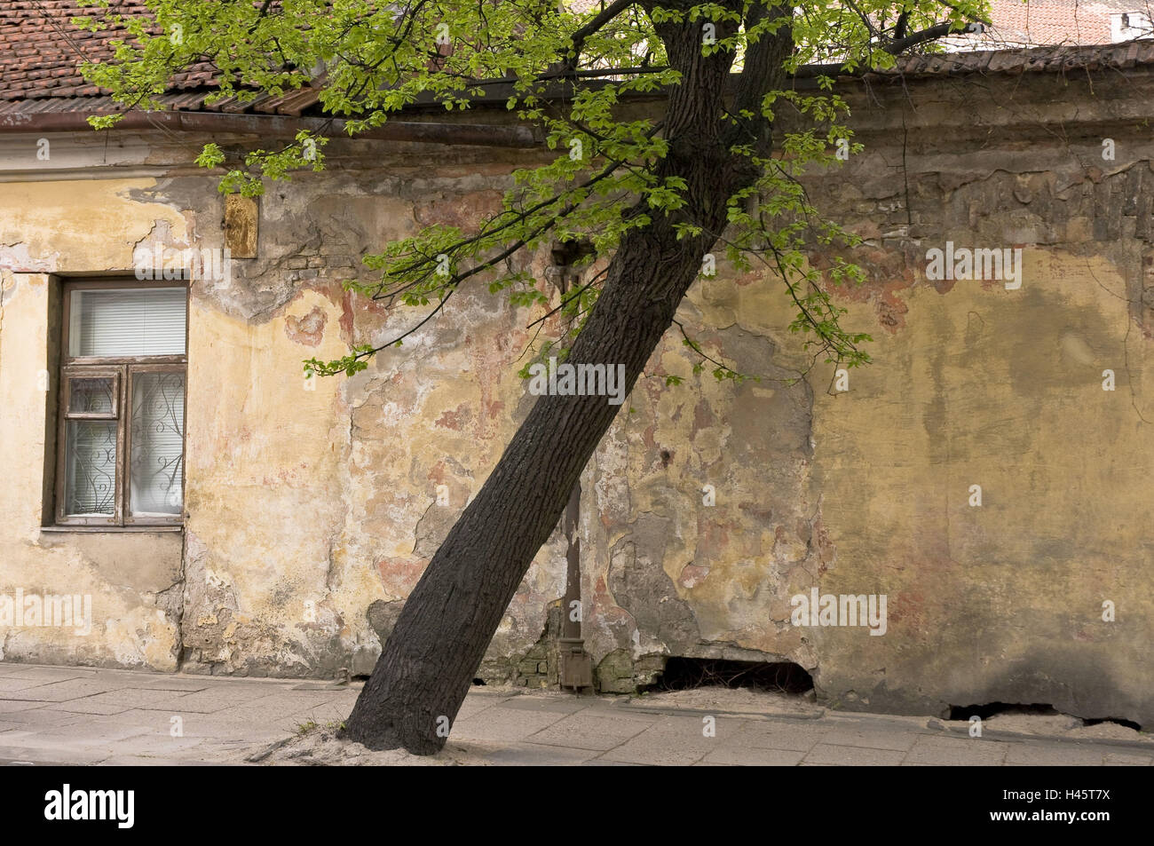 La Lituania, Vilnius, città vecchia, Sodu Gatve, facciata, vecchio, la linea dettaglio Foto Stock