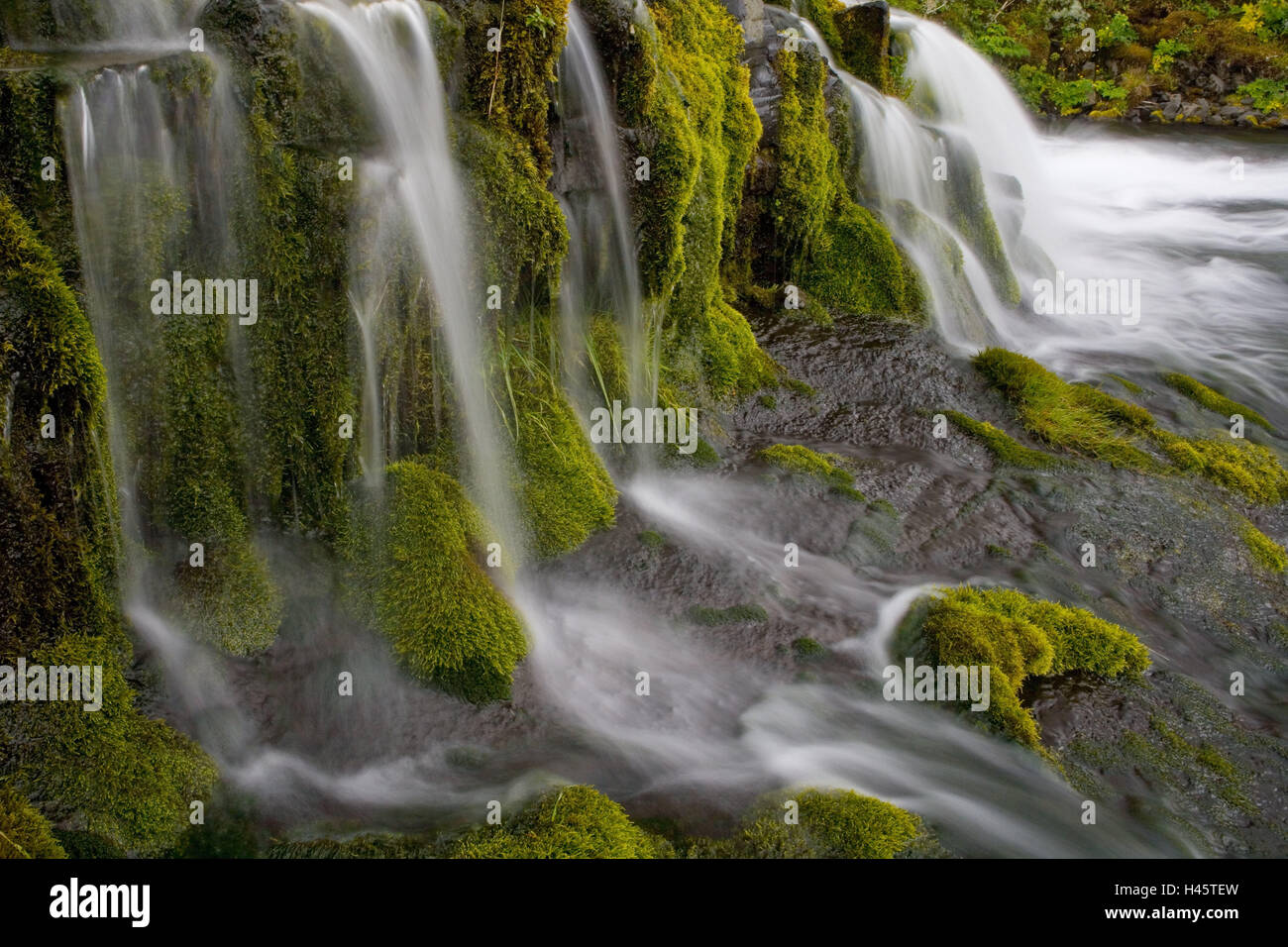 L'Islanda, Gijauin, Brook, rock, MOSS, cascata, dettaglio Foto Stock