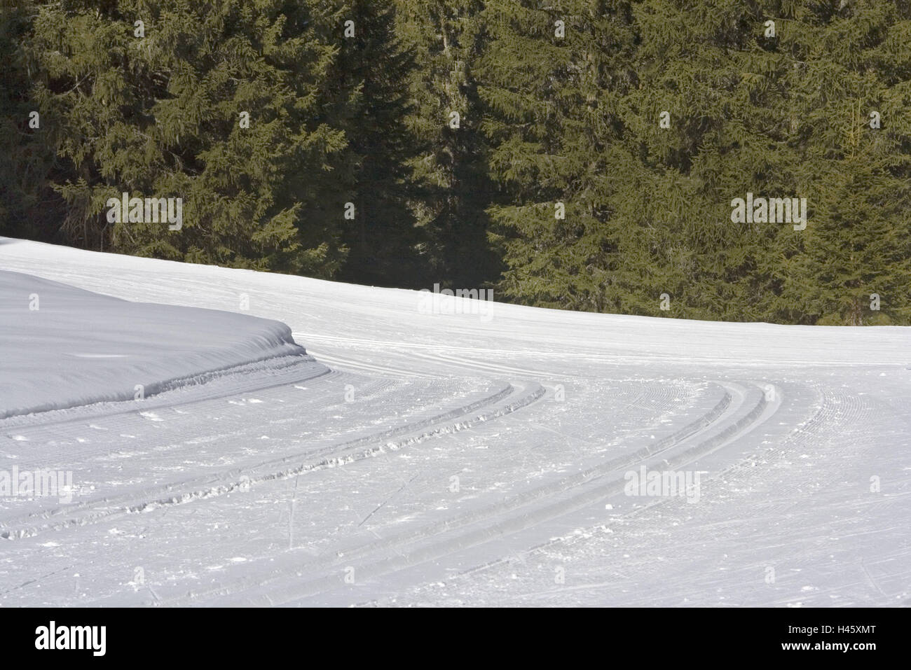 Sci di fondo, neve via, dettaglio, stagione invernale, invernale, cross-country trail, tracciati per lo sci di fondo e pista andando sci di fondo, sport, sport, sport invernali, sci via, deserte, esterno, piegare, alberi, Foto Stock