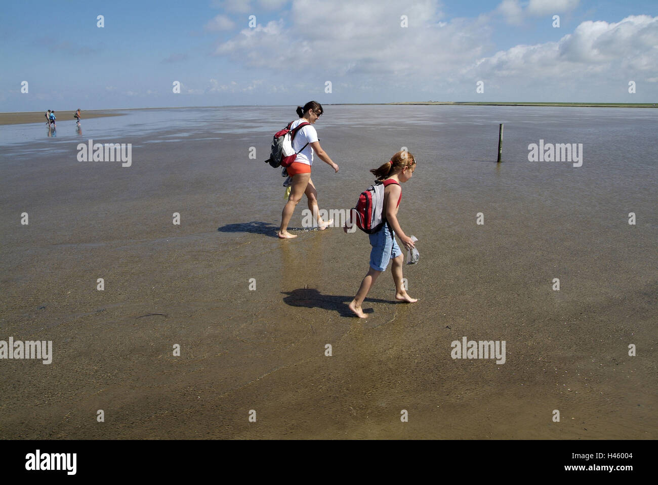 Germania, SCHLESWIG-HOLSTEIN, Eiderstedt, Westerhever, velme, Wanderer, anteprima Foto Stock