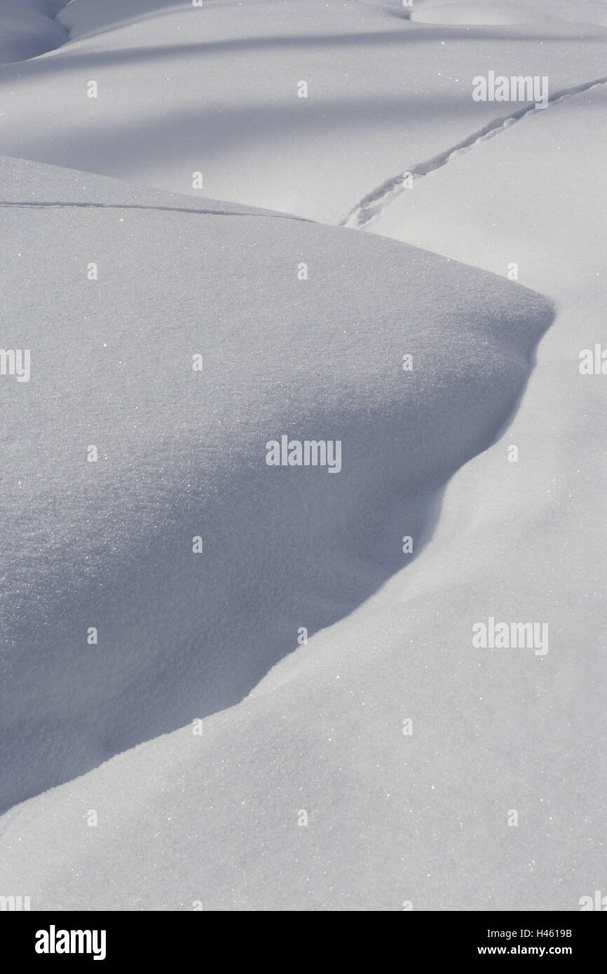 La superficie della neve, cava, le vie, natura, stagioni, inverni, neve, forme, campioni, Winter's day, superficie glitter, freddo, gelo, icily, bianco, frosty, freddamente, nessuno, nevoso, clima, temperature, nevicata fresca, polvere di neve e di silenzio, neve profonda, via, animale via, le tracce degli animali, sfumature, Foto Stock