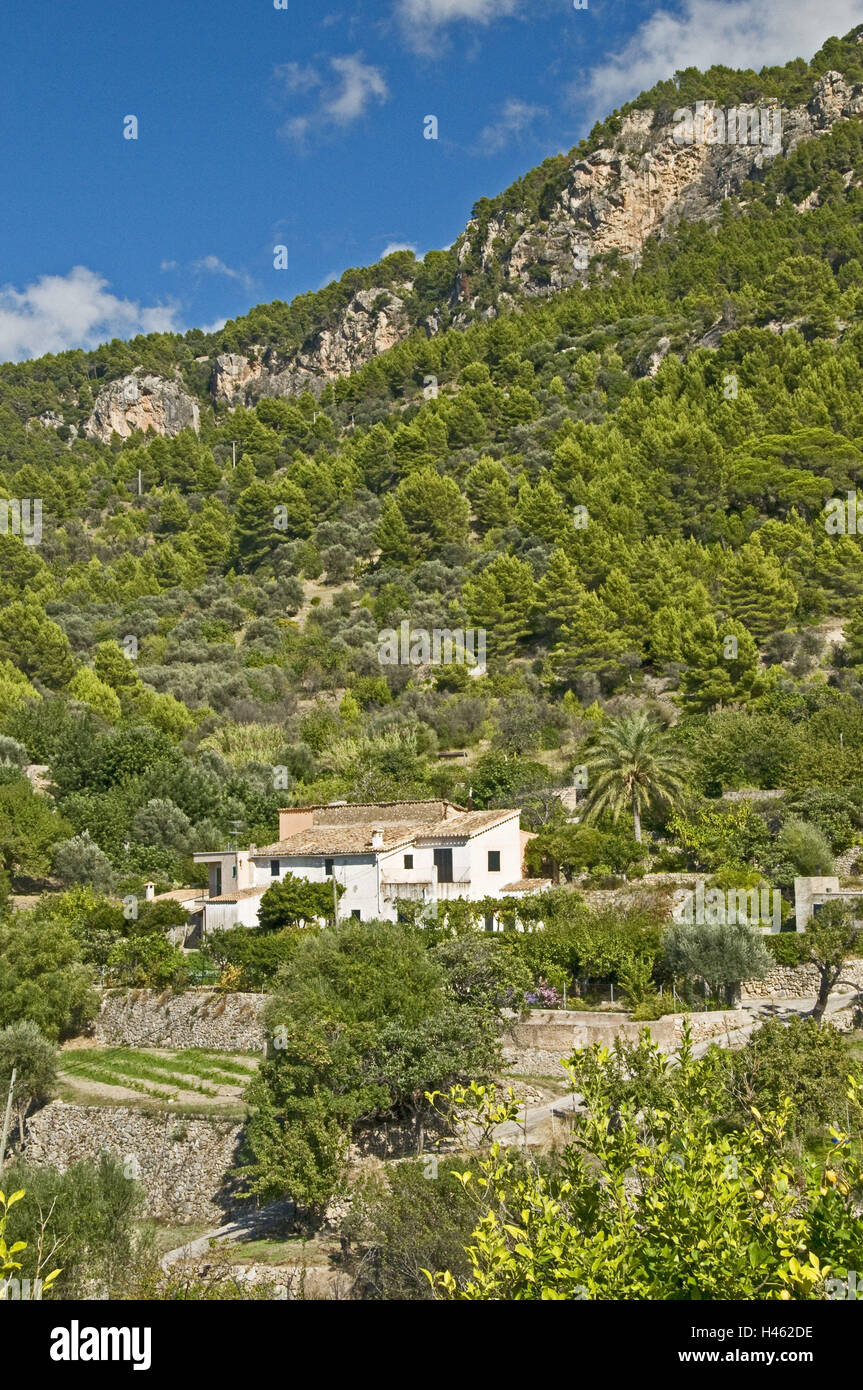 Spagna Isole Baleari Maiorca, costa ovest, Estellencs, villaggio di montagna, Finca, Foto Stock