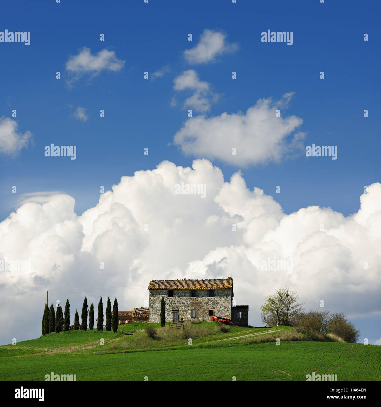 L'Italia, in Toscana, in provincia di Siena e della Val d'Orcia, agriturismo, Foto Stock