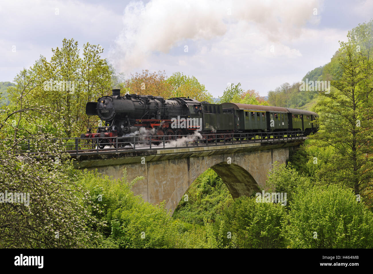 Germania, Baden-Württemberg, Welzheim (città), foresta sveva di treno, Foto Stock