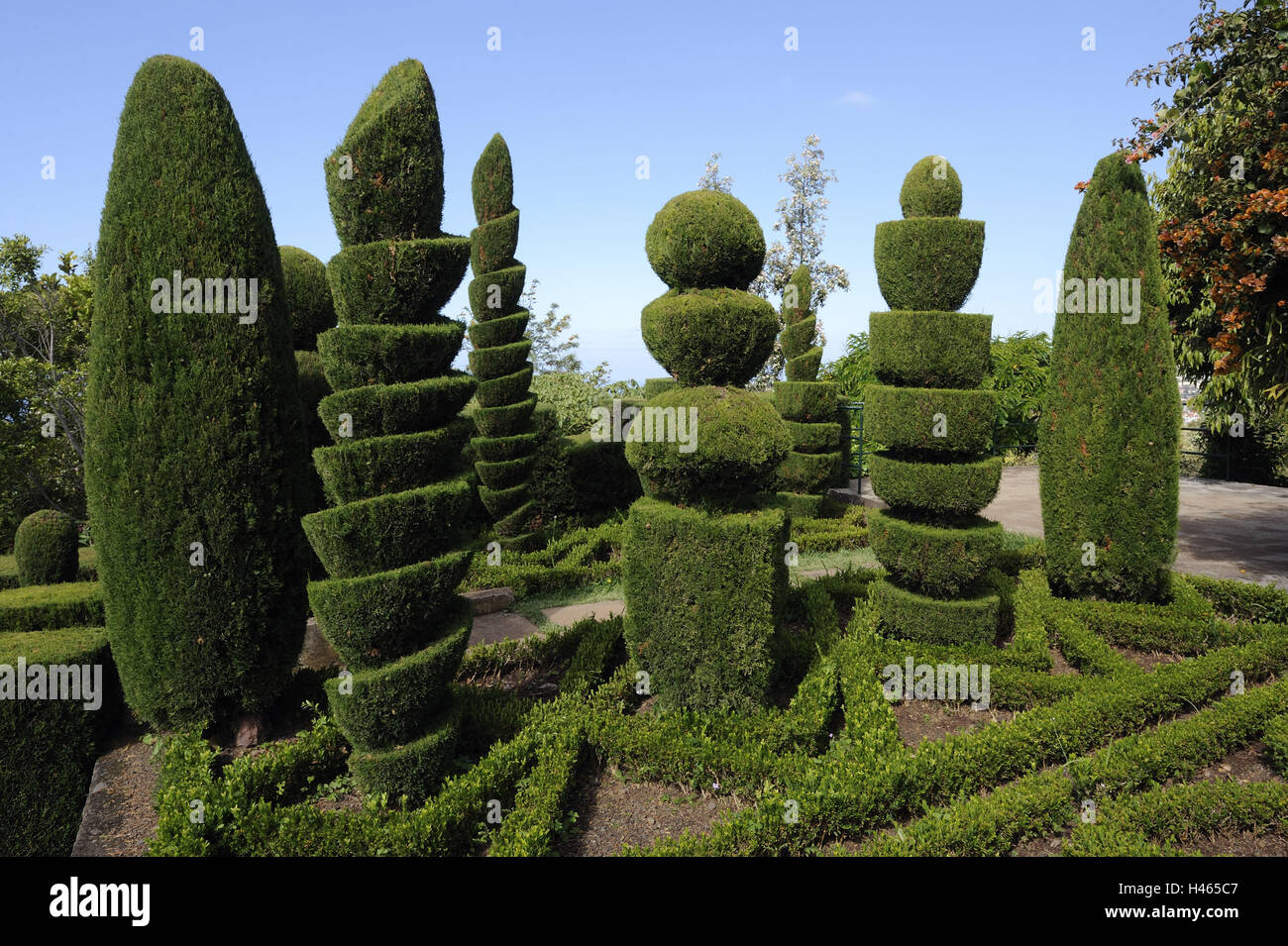 Il Portogallo, isola di Madera, Funchal, giardino botanico, arbusti ornamentali, Foto Stock