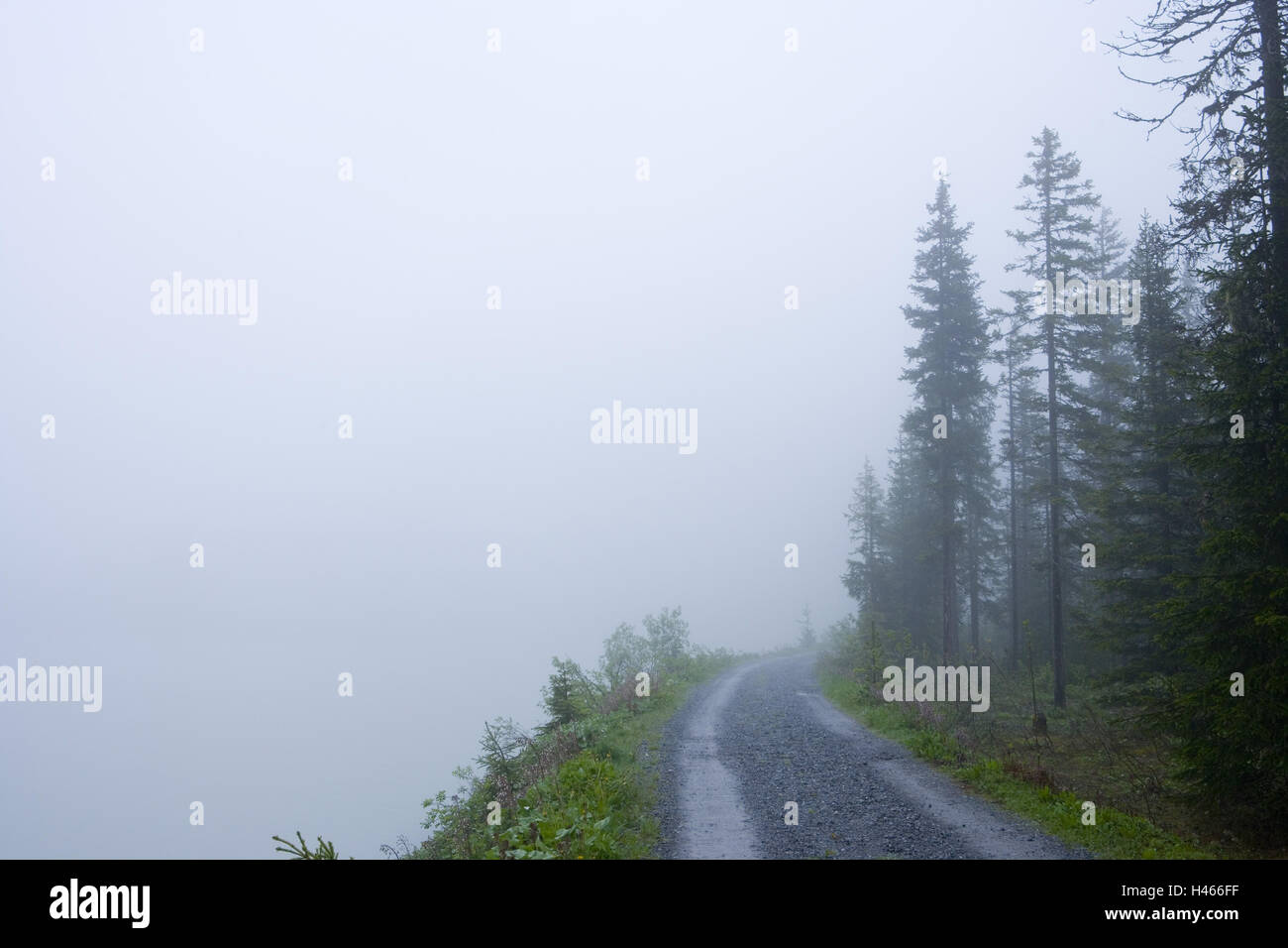 La Svizzera, grigio collari, Prättigau, Arosa, serbatoio, nebuloso tuning, sentiero, Foto Stock
