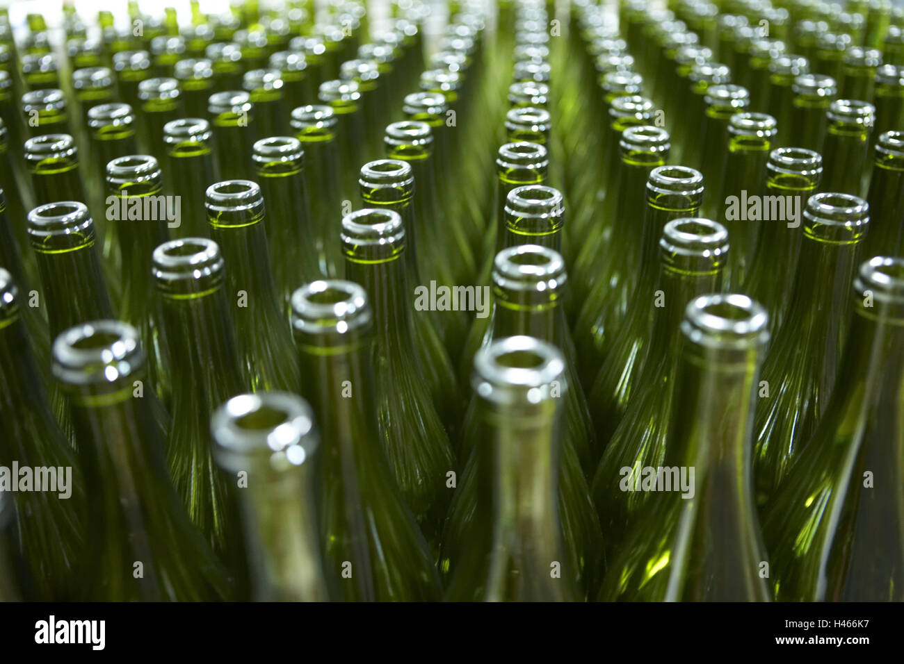 Bottiglie, dettaglio, sfocatura, bere industria, industria, economia, cantina, wine-premere house, bottiglie di vino le bottiglie di vetro, verde, serie, apertamente, riempimento, Foto Stock