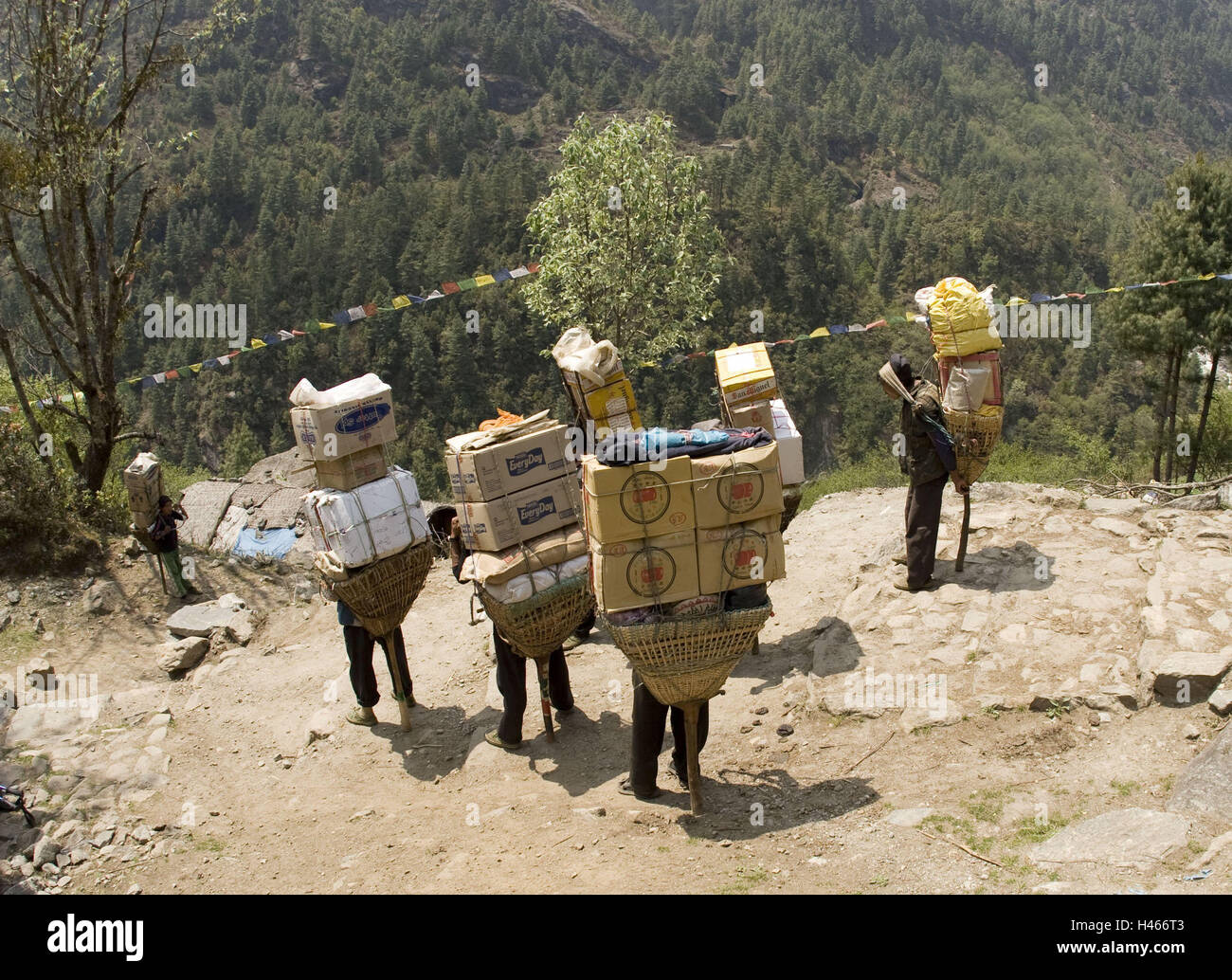 Il Nepal, Solo Khumbu, regione Everest, l'Himalaya, vettori, carico, break, Foto Stock