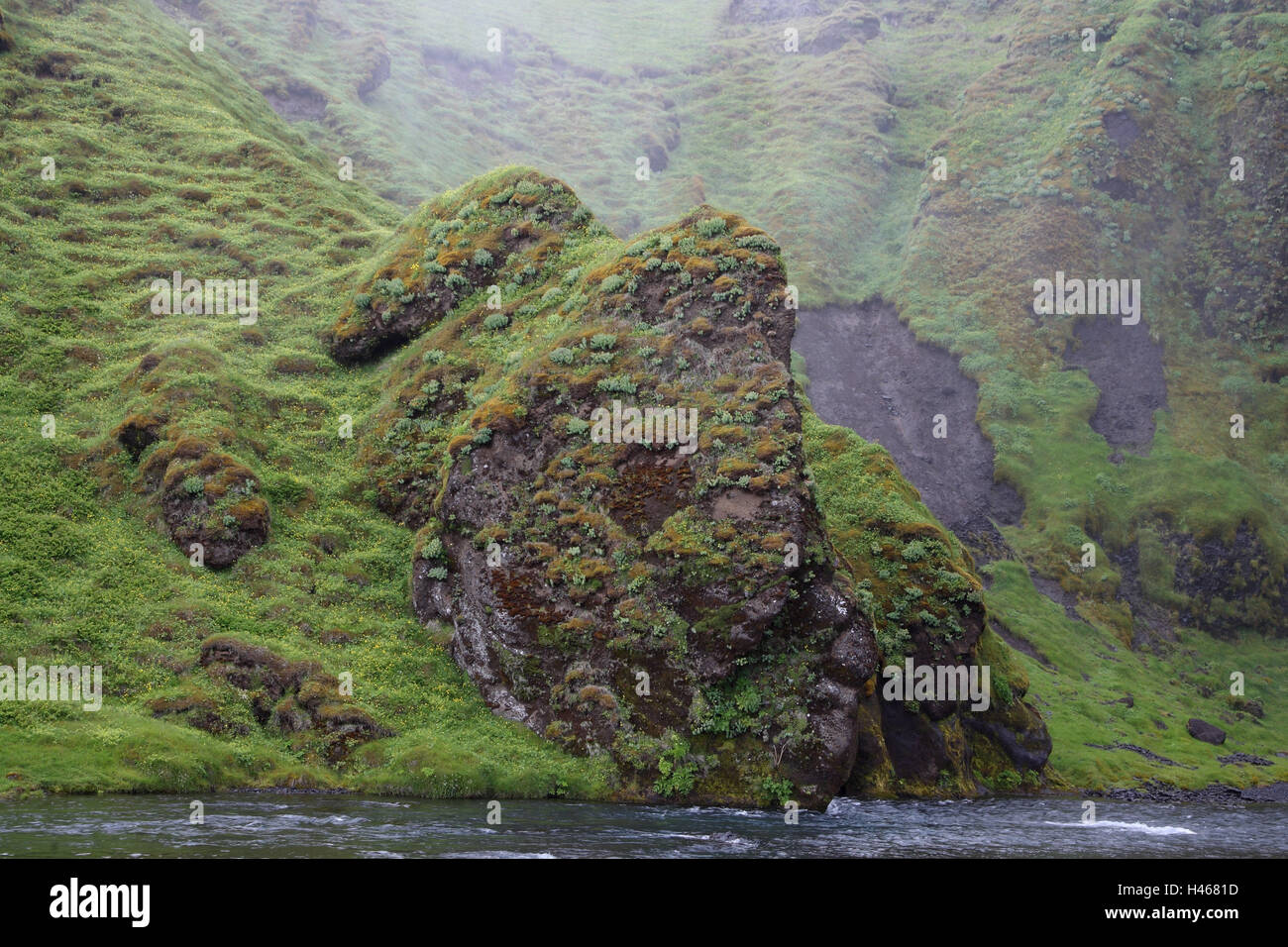 Rocce, acqua, vegetazione, Skogafoss, Islanda, Foto Stock