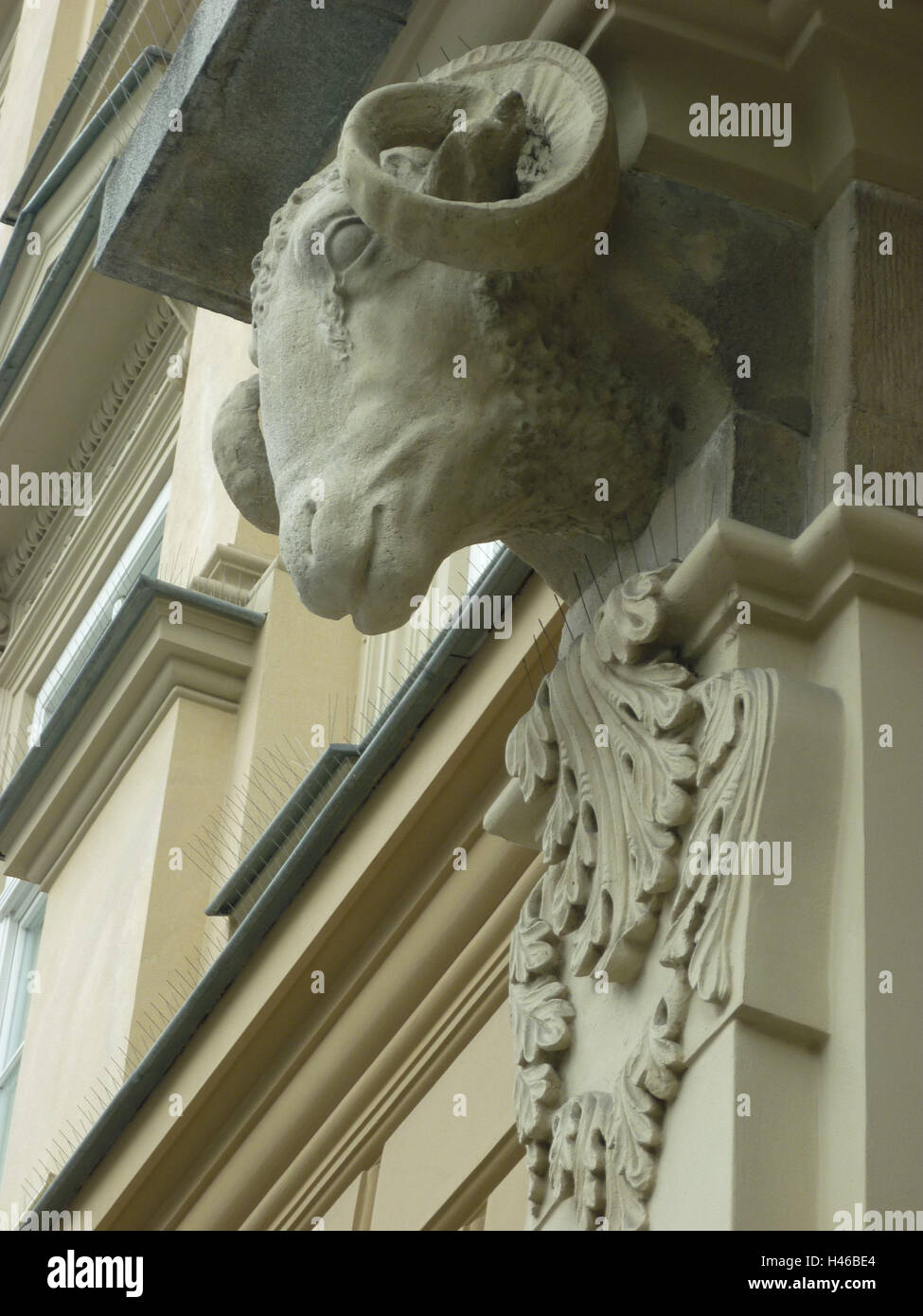 Edificio, Ariete, testa, dettaglio, casa, palace, Ariete la testa, le corna, Cracovia, polo, Foto Stock
