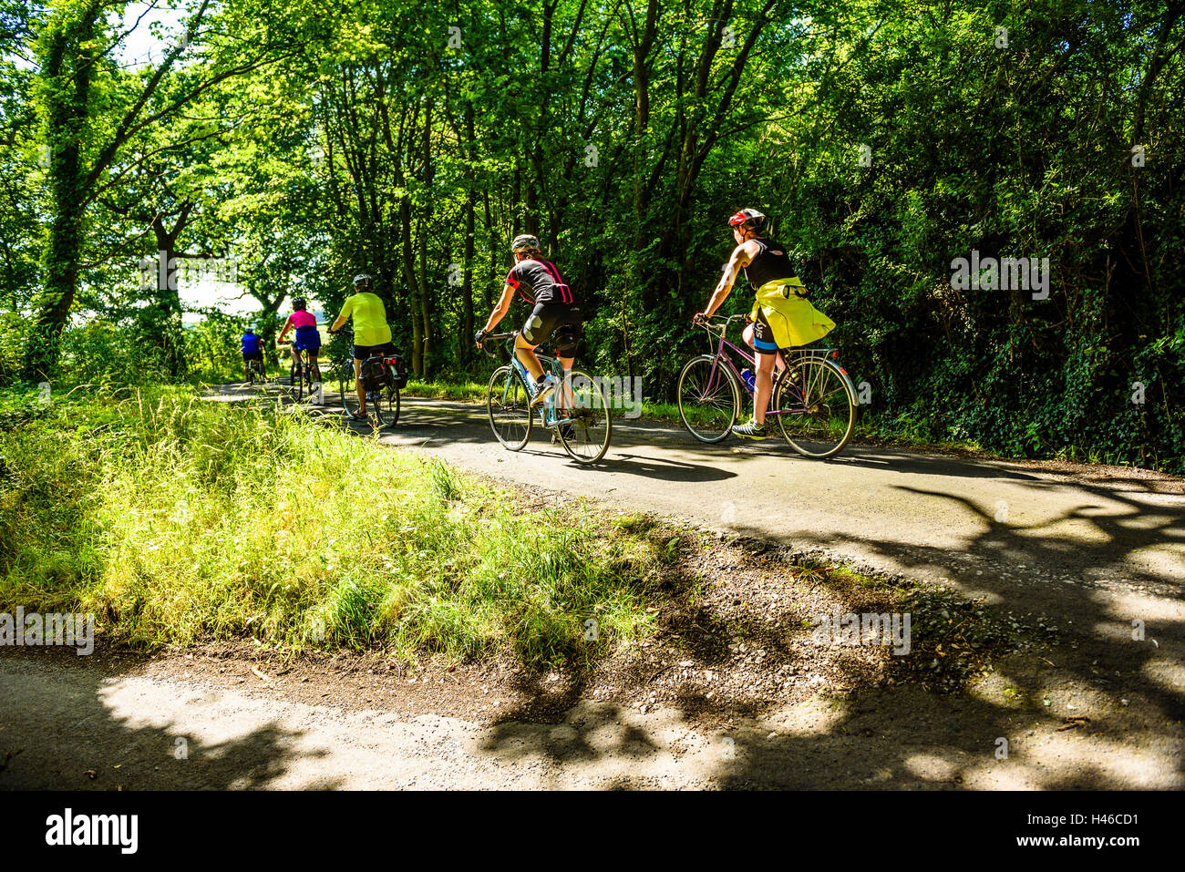 Un gruppo di ciclisti femmina su un vicolo vicino al Bispham verde in West Lancashire Foto Stock