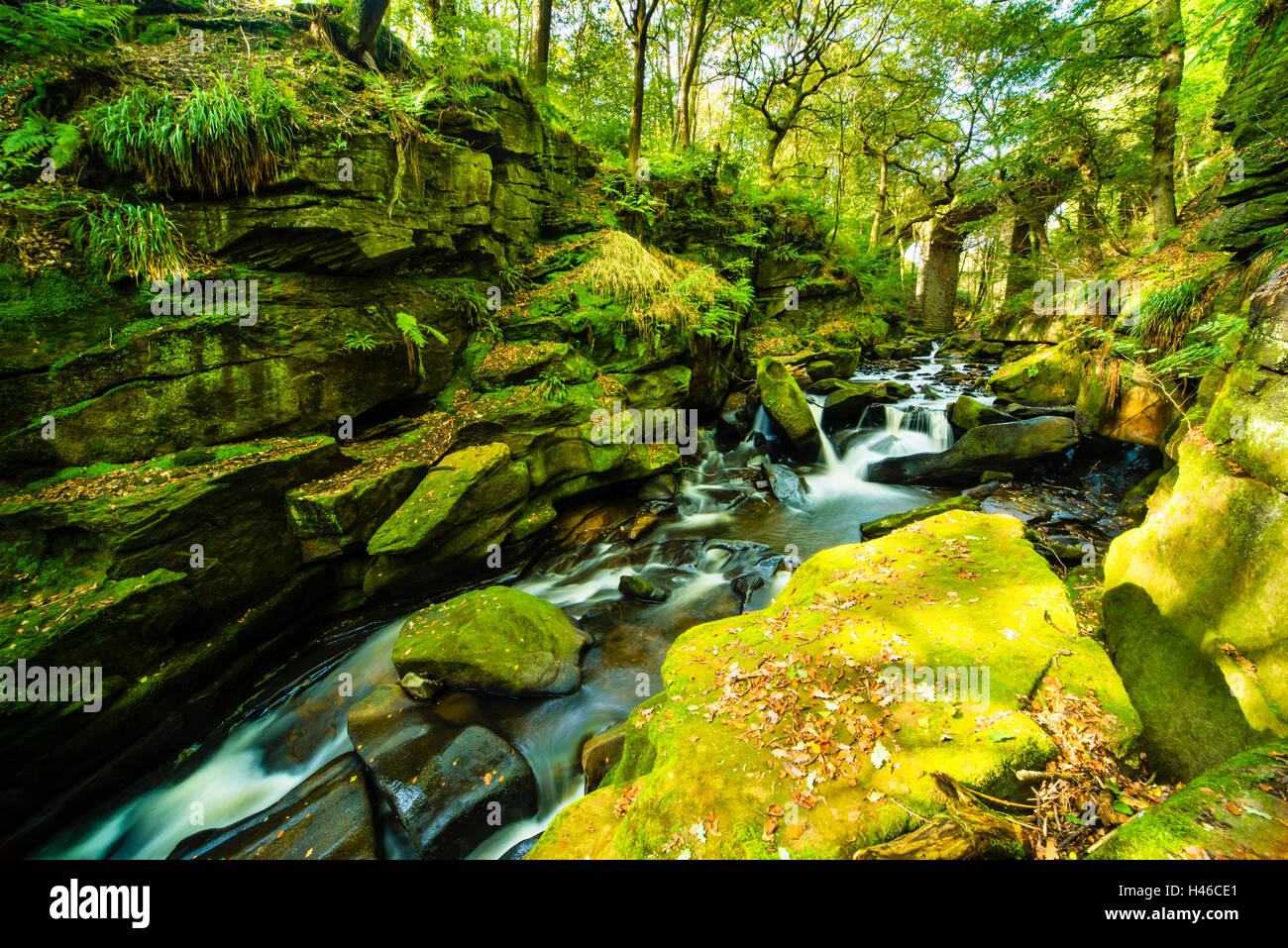 Fiume Spodden in Healey Dell riserva naturale vicino a Rochdale Greater Manchester Inghilterra England Regno Unito Foto Stock