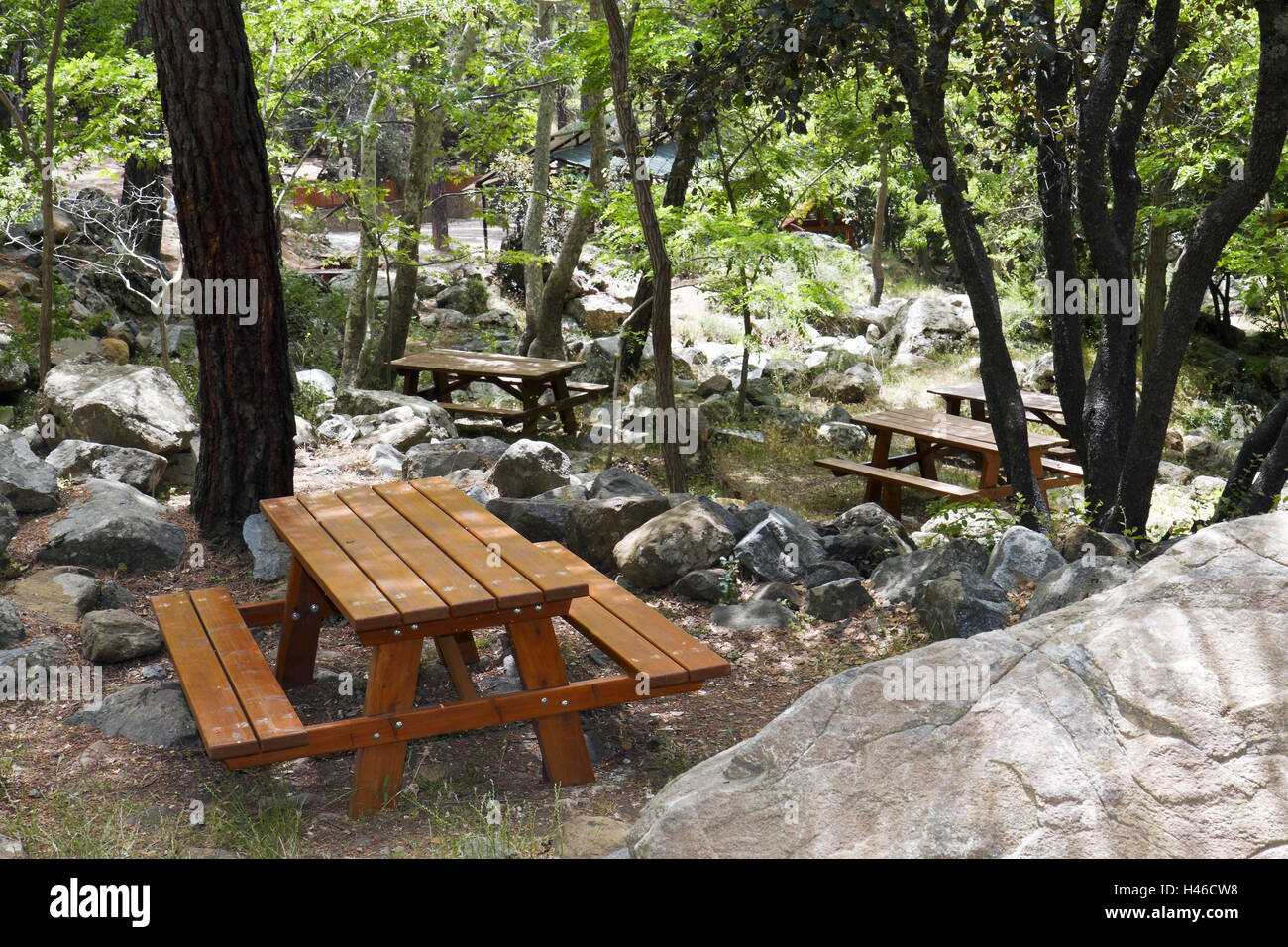 Isola di Cipro, Trodoos montagne, spazio picnic, nessuno, Trodoos, montagne, Südzypern, in greco, il sud, l'Europa, l'Europa, picnic, spazio picnic, Cipro, isola, in una maniera cipriota, panche di legno, tavoli di legno alberi, Foto Stock