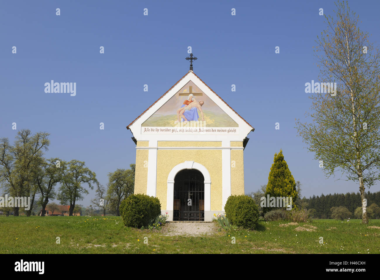 Band, molla, succo di frutta quarta, Austria Inferiore, Austria, Foto Stock