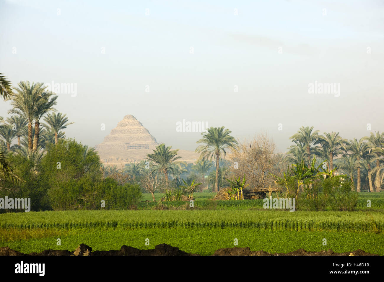 L'Egitto, al Cairo, Sakkara, vicino Gizeh, passo piramide di Djoser, Foto Stock