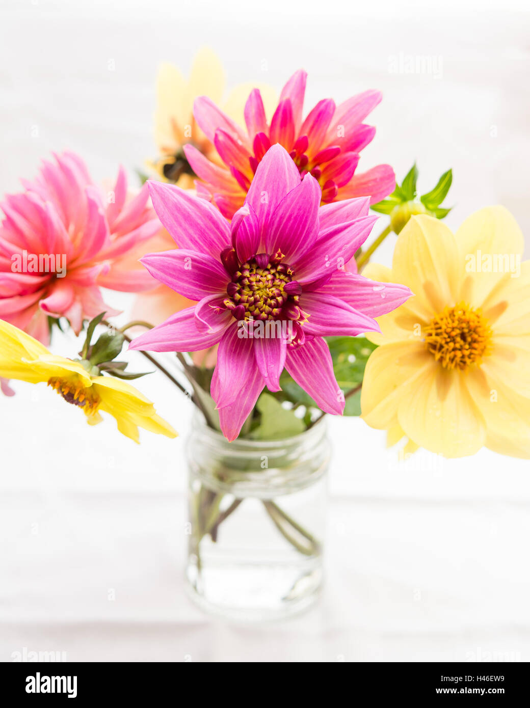 Autunno del vasetto di marmellata fiori - rosa e giallo dalie Foto Stock