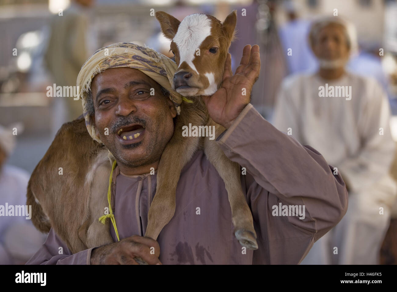 Oman, provincia ad-Dachiliyya, città Nizwa, locale, spalla di vitello, sultanato, monarchia, persona, uomo, arabo, il mercato del bestiame, Turbante, velo, copricapo, sorriso, trasportare, felice, dente lacune, animale, giovane animale, Foto Stock