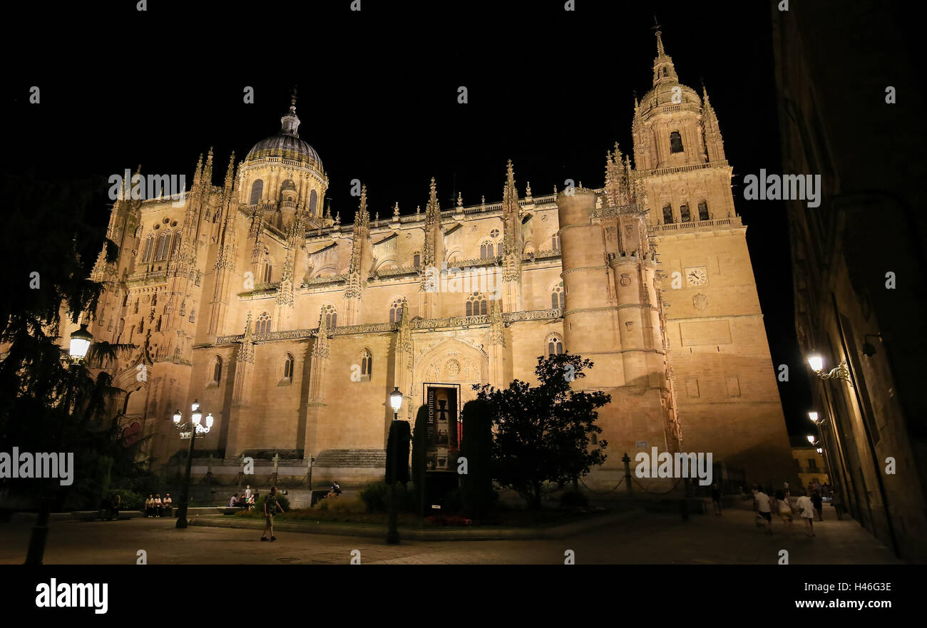 Vista notturna dell'illuminato nuova cattedrale o Catedral Nueva nel centro storico di Salamanca, Spagna Foto Stock