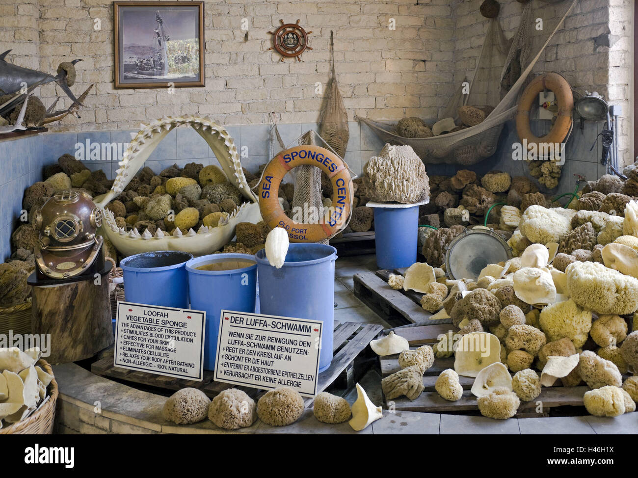 Cipro, Lima sol, souvenir business, decorazione, marittimo, vendite, natura spugne, segno, Südzypern, spugne, loofahs, loofahs, molti, numero, numerously, in gran parte, piccole, souvenir, piccoli regali, igiene, cura della shell, bagno implementa, carico, souvenir shop, Deko, vendite, Lemesos, Città Vecchia, bite, Shark pesce morso del subacqueo al casco, all'interno, deserte, Foto Stock