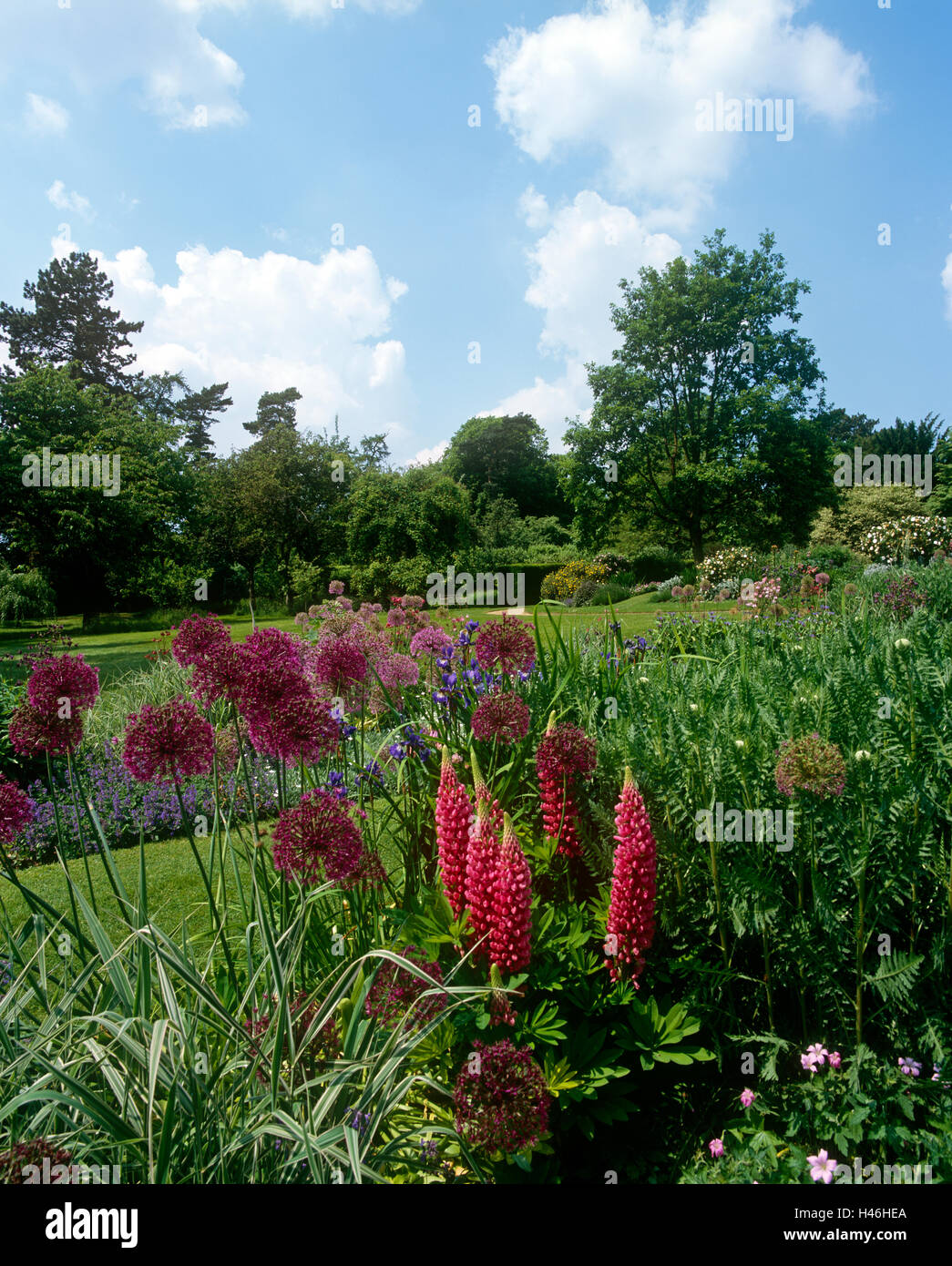 George Bernard Shaw House Foto Stock