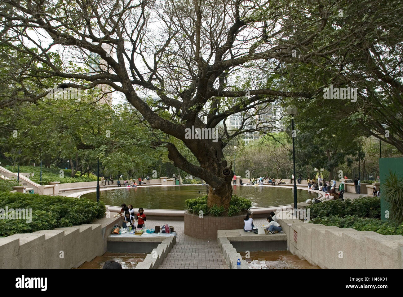 Cina, Hong Kong e la penisola di Kowloon, Parco di Kowloon, parco, turisti, Foto Stock