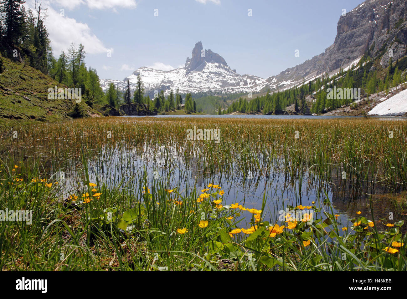 L'Italia, Alto Adige, Dolomiti, Cortina D'Ampezzo, Lago Federa, Beco de Mezodi, riflessione, Foto Stock