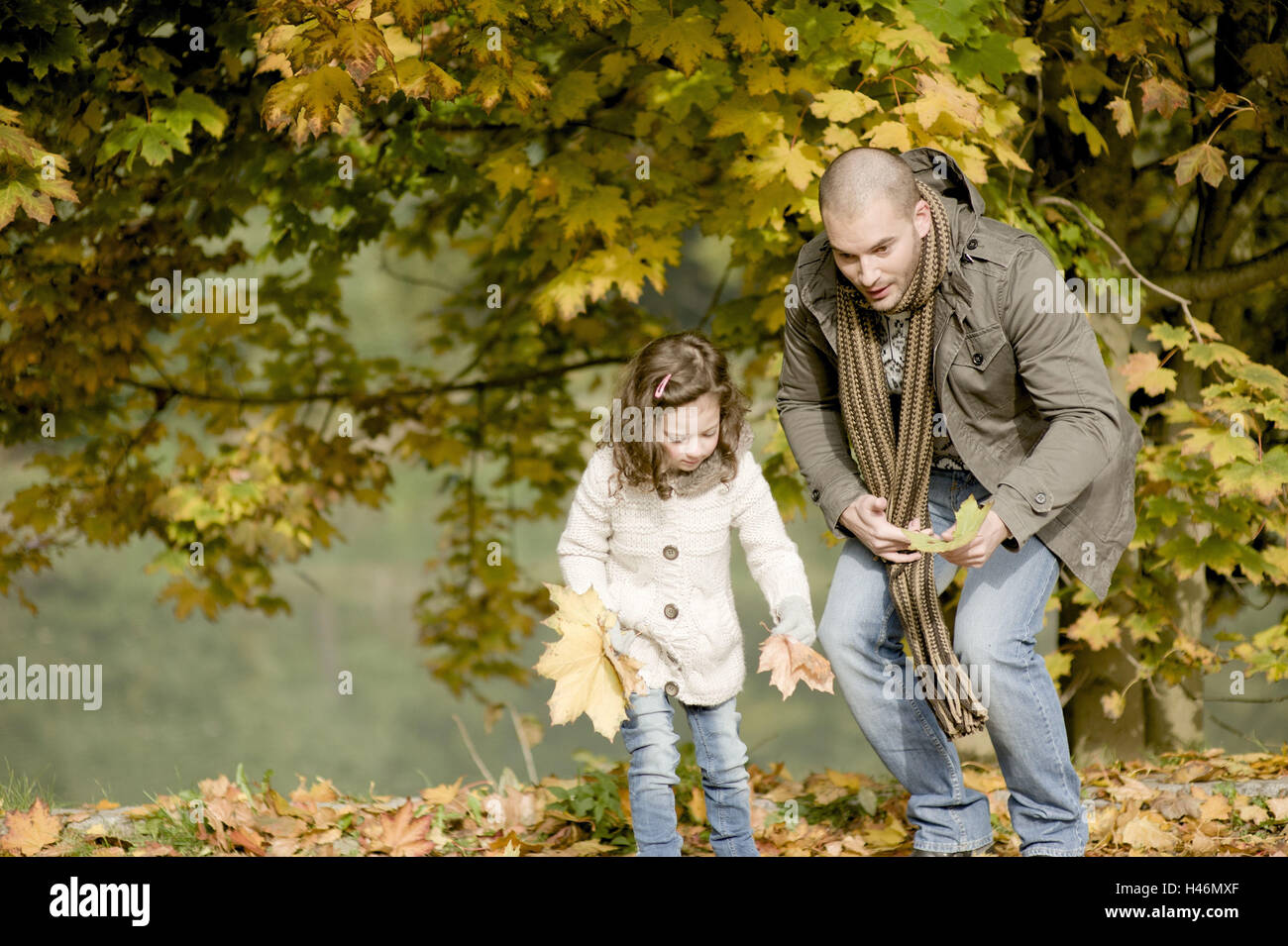 Padre e figlia raccolgono foglie di acero, Foto Stock