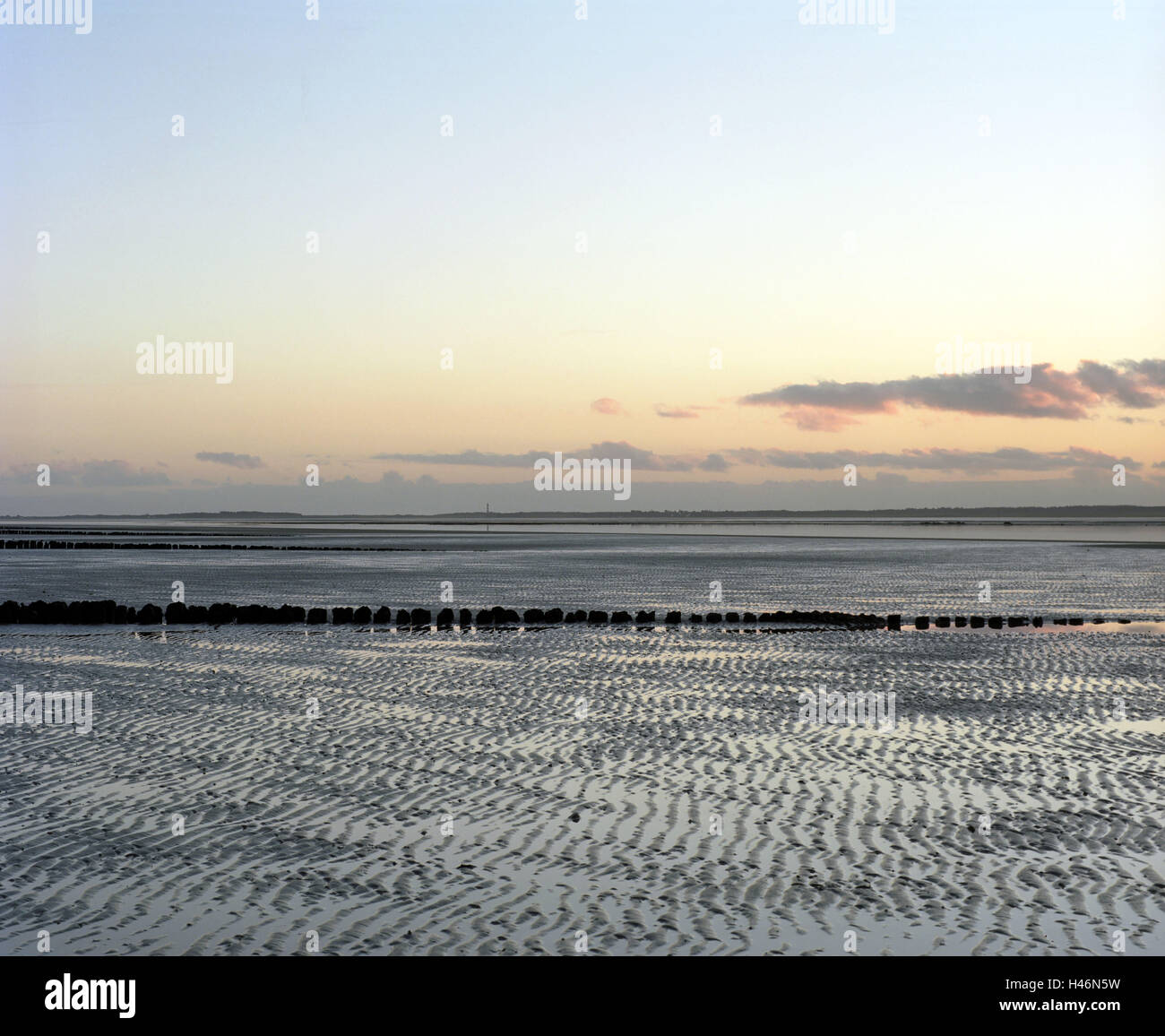 Il mare del Nord, isola di Föhr, watt, vista dopo Amrum al tramonto, Foto Stock