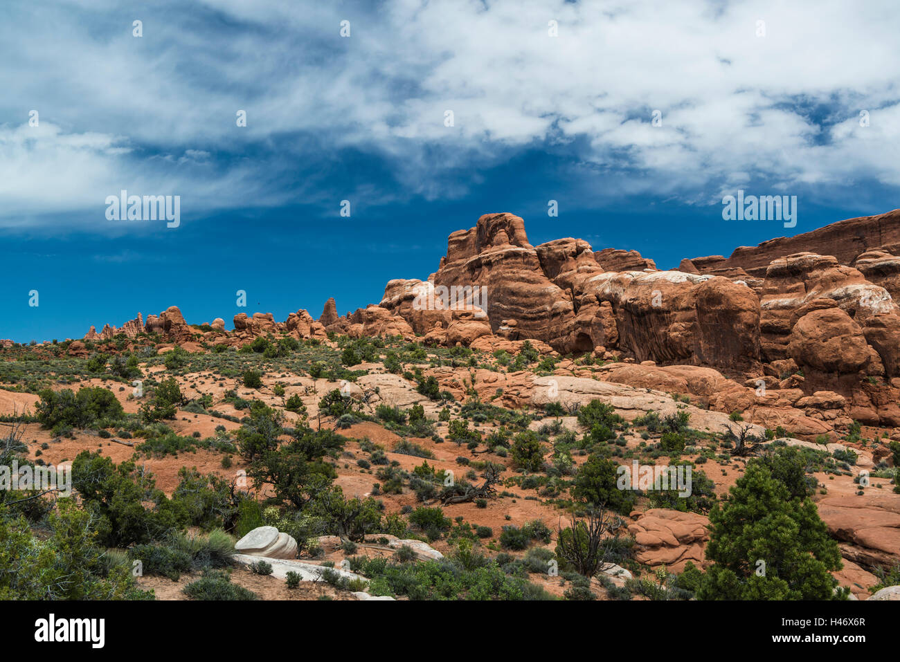 Giardino di Eden, Arches National Park, Utah, Stati Uniti d'America Foto Stock